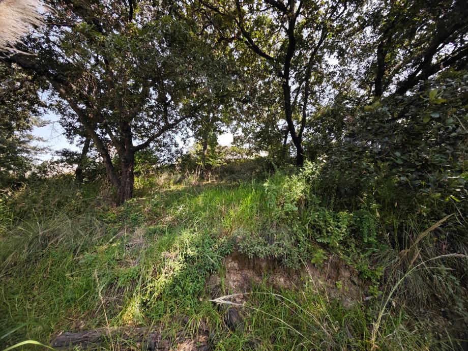 Capulines, Atizapán de Zaragoza, Estado de México, 52938, Mexico, 1 Bedroom Bedrooms, ,Residential,For Sale,Capulines,1443866