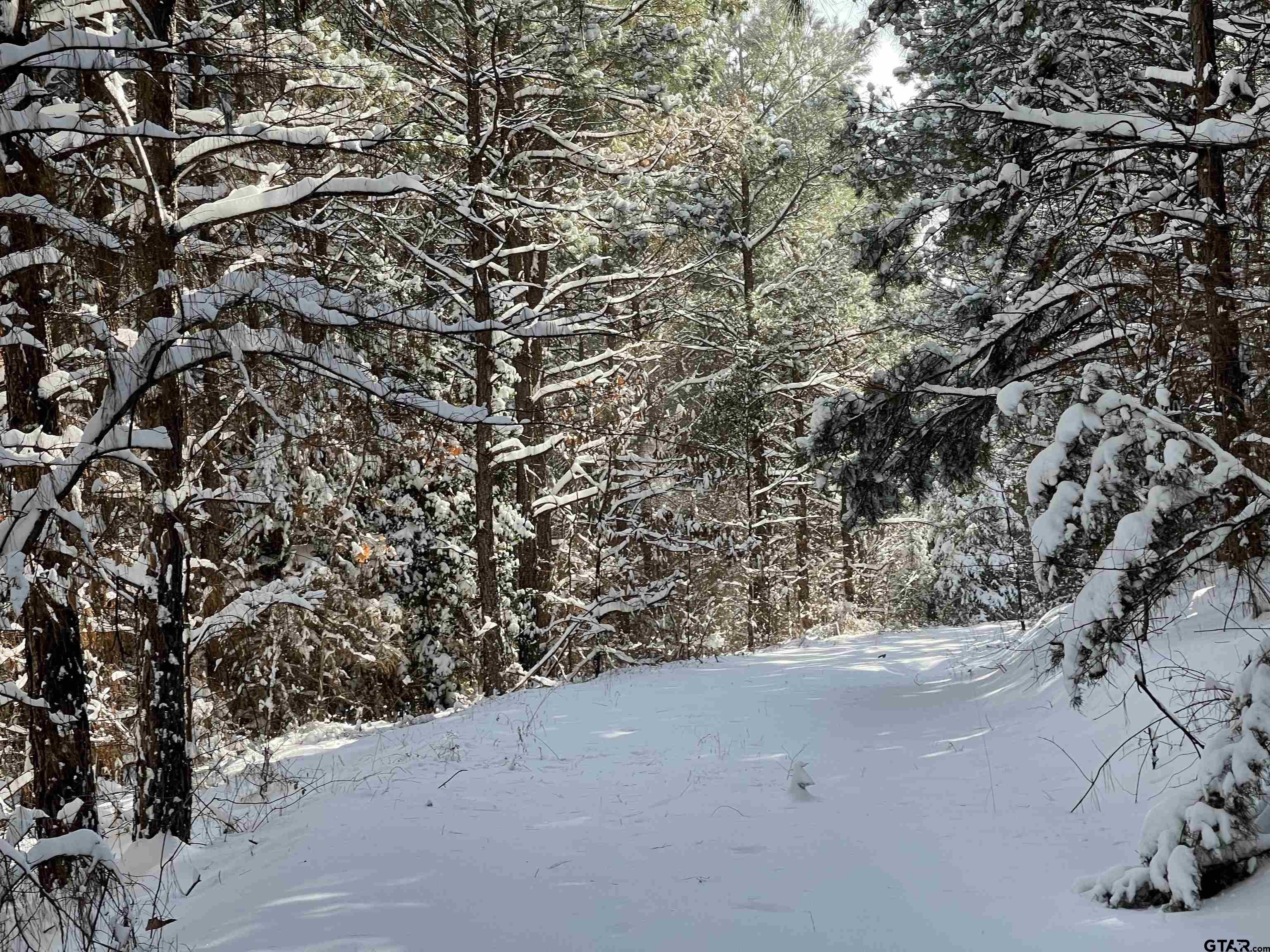 Lone Star, Texas, 75668, United States, 2 Bedrooms Bedrooms, ,1 BathroomBathrooms,Residential,For Sale,1979709