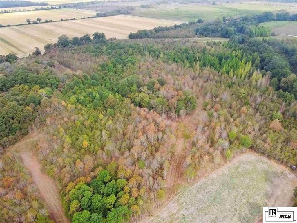 593 FORTENBERRY ROAD, Rayville, Louisiana, 71269, United States, ,Land,For Sale,593 FORTENBERRY ROAD,1683237