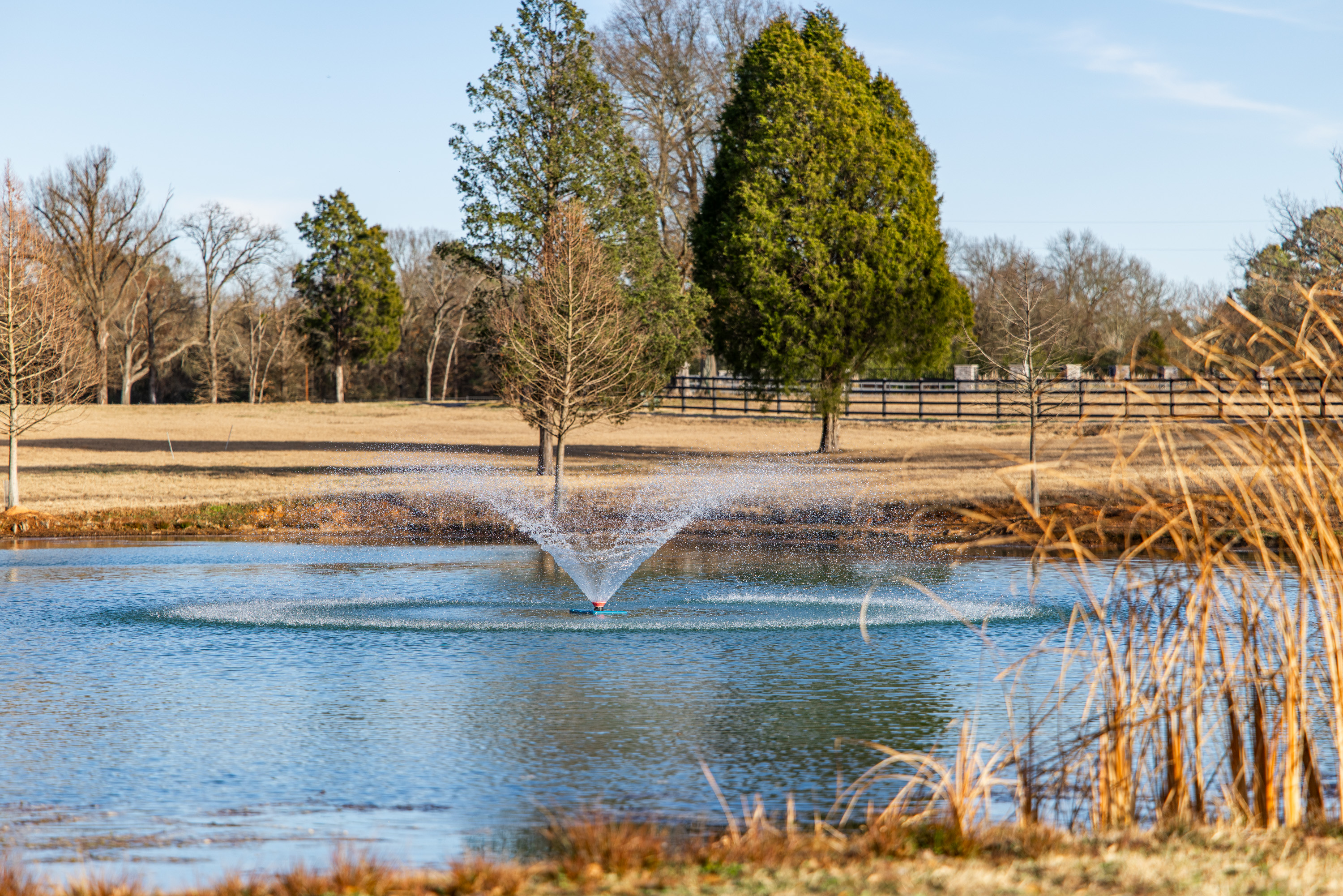 Barron Road Retreat - 物件實景