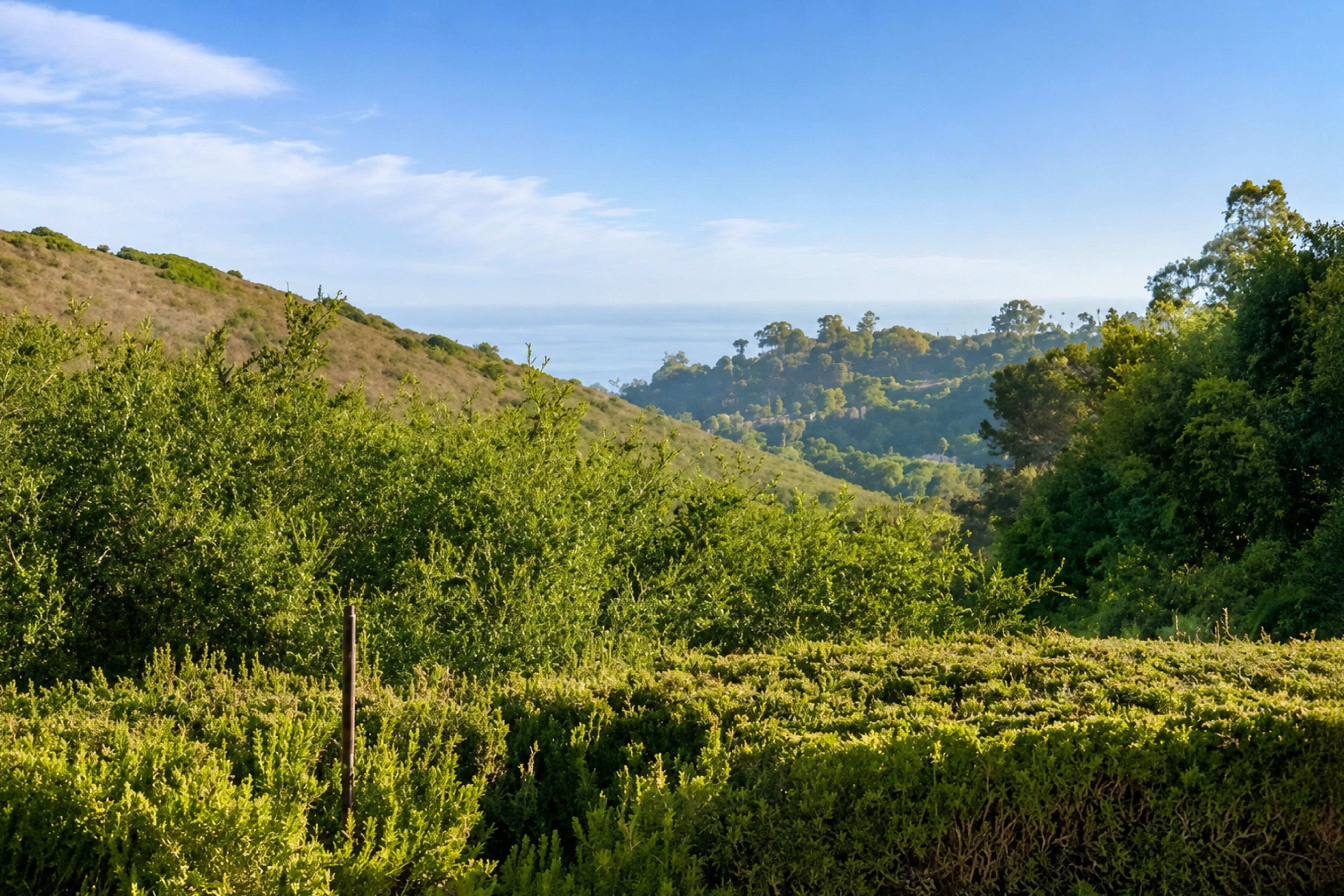  Stellar Ocean Views in Bel Air Knolls - 物件實景