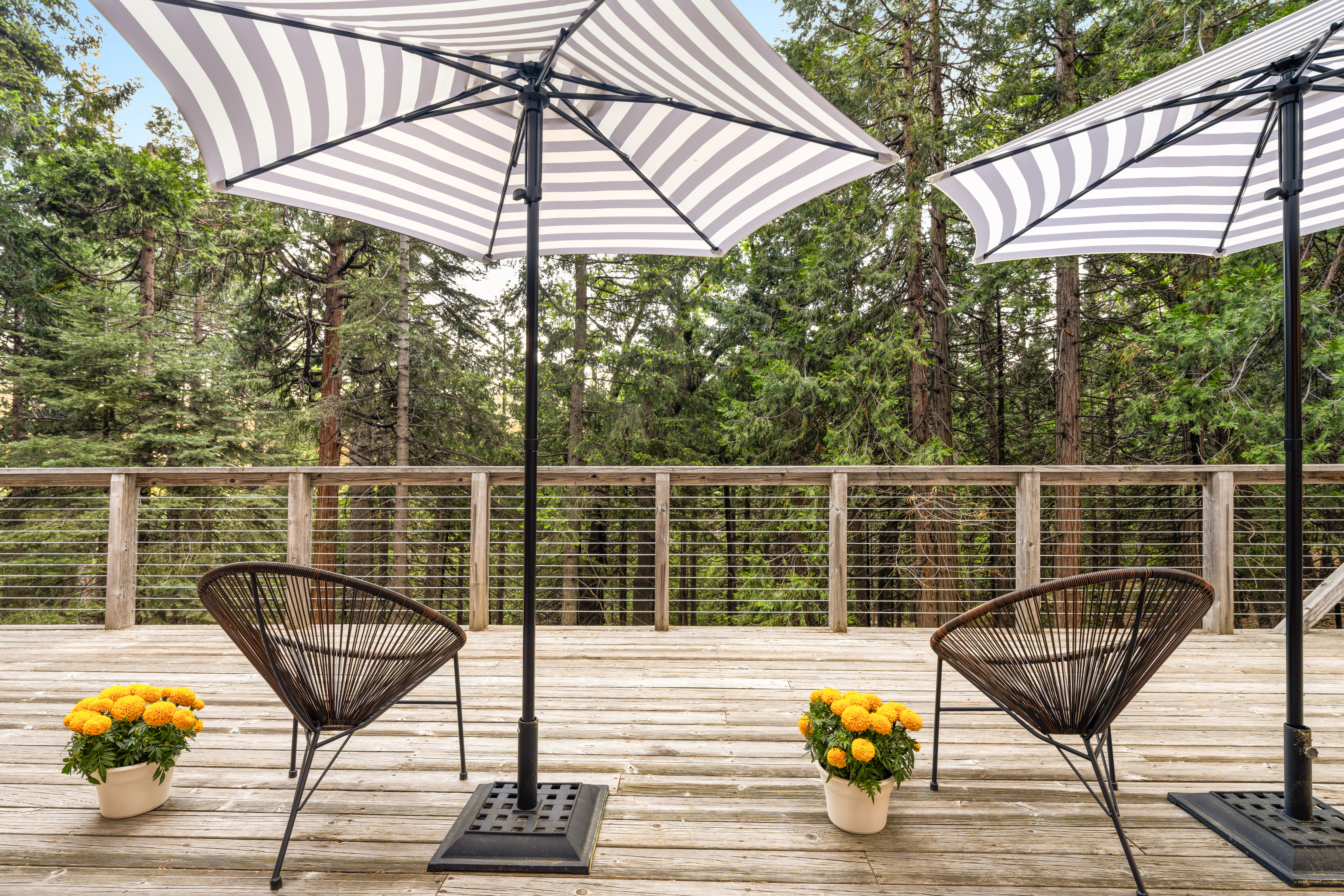  6742 Diamond Drive, Pollock Pines, CA 95726 - 物件實景