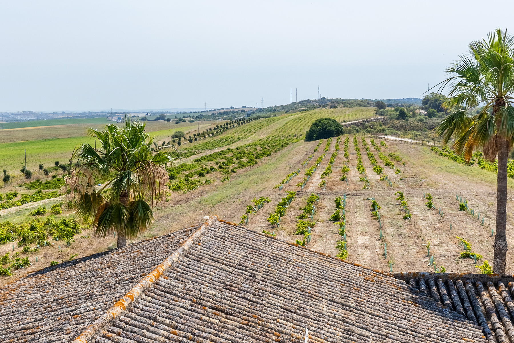  Cortijo with pool and vineyard in El Puerto de Santa María - 物件實景
