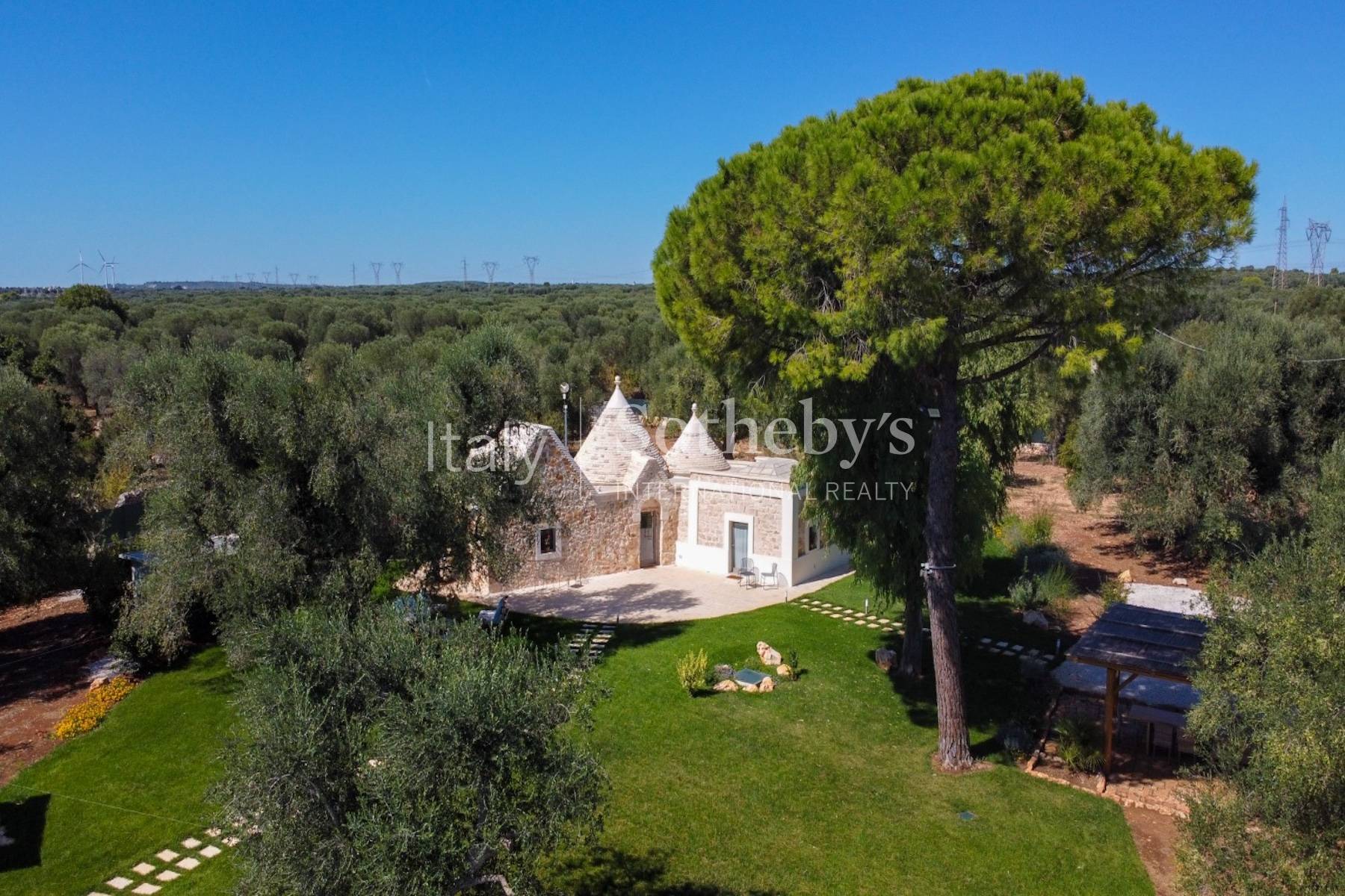  Renovated traditional Apulian trulli with swimming pool - 物件實景
