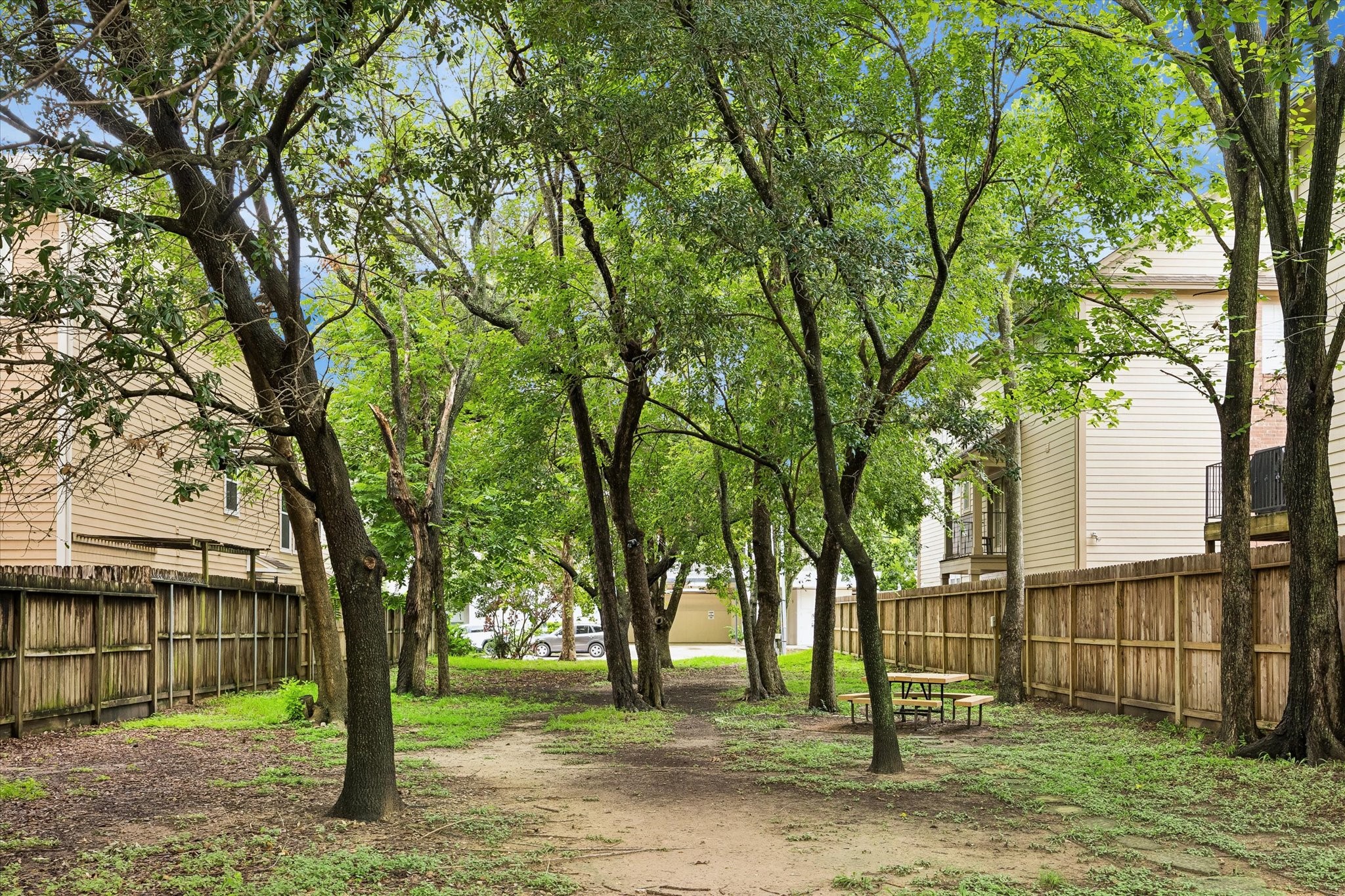  915 Knox Street D - 物件實景