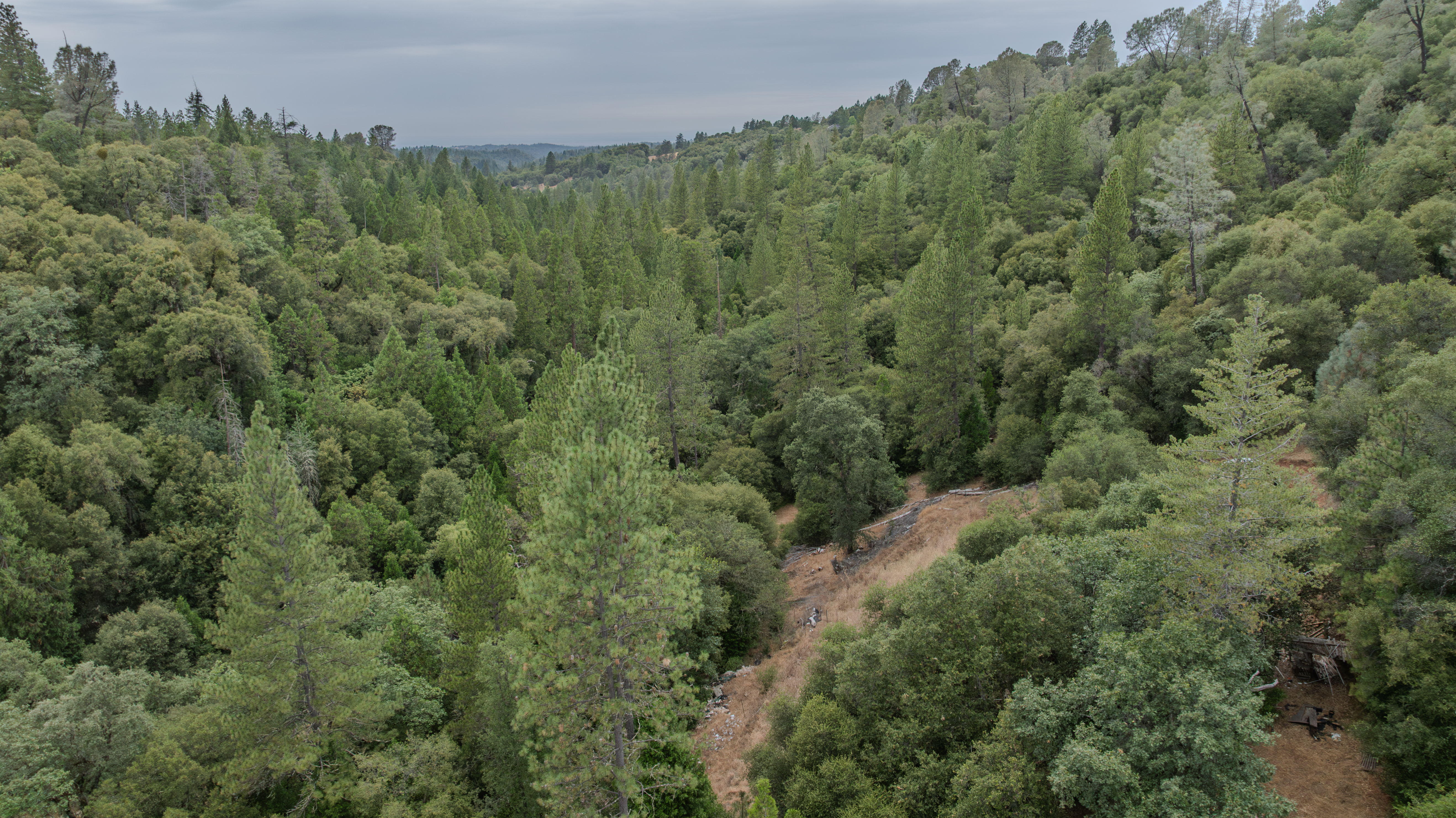  18101 Old River Road, Fiddletown, CA 95629 - 物件實景