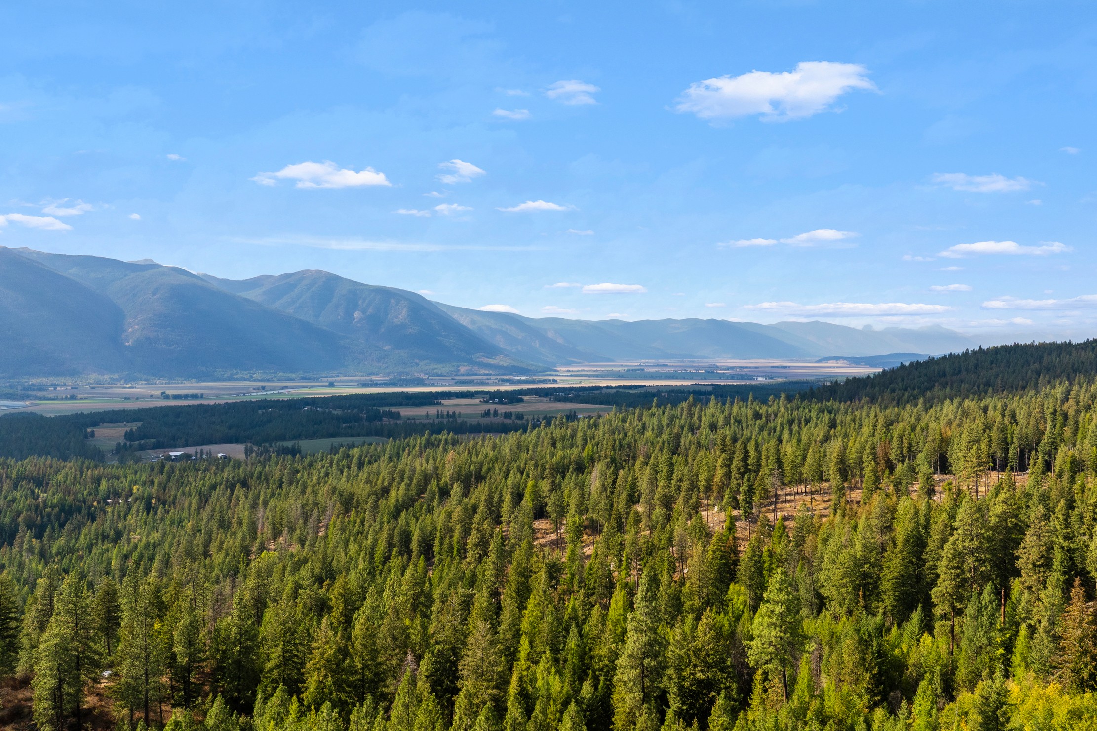 Bonners Ferry, Idaho, 83805, United States, 3 Bedrooms Bedrooms, ,4 BathroomsBathrooms,Residential,For Sale,1984473