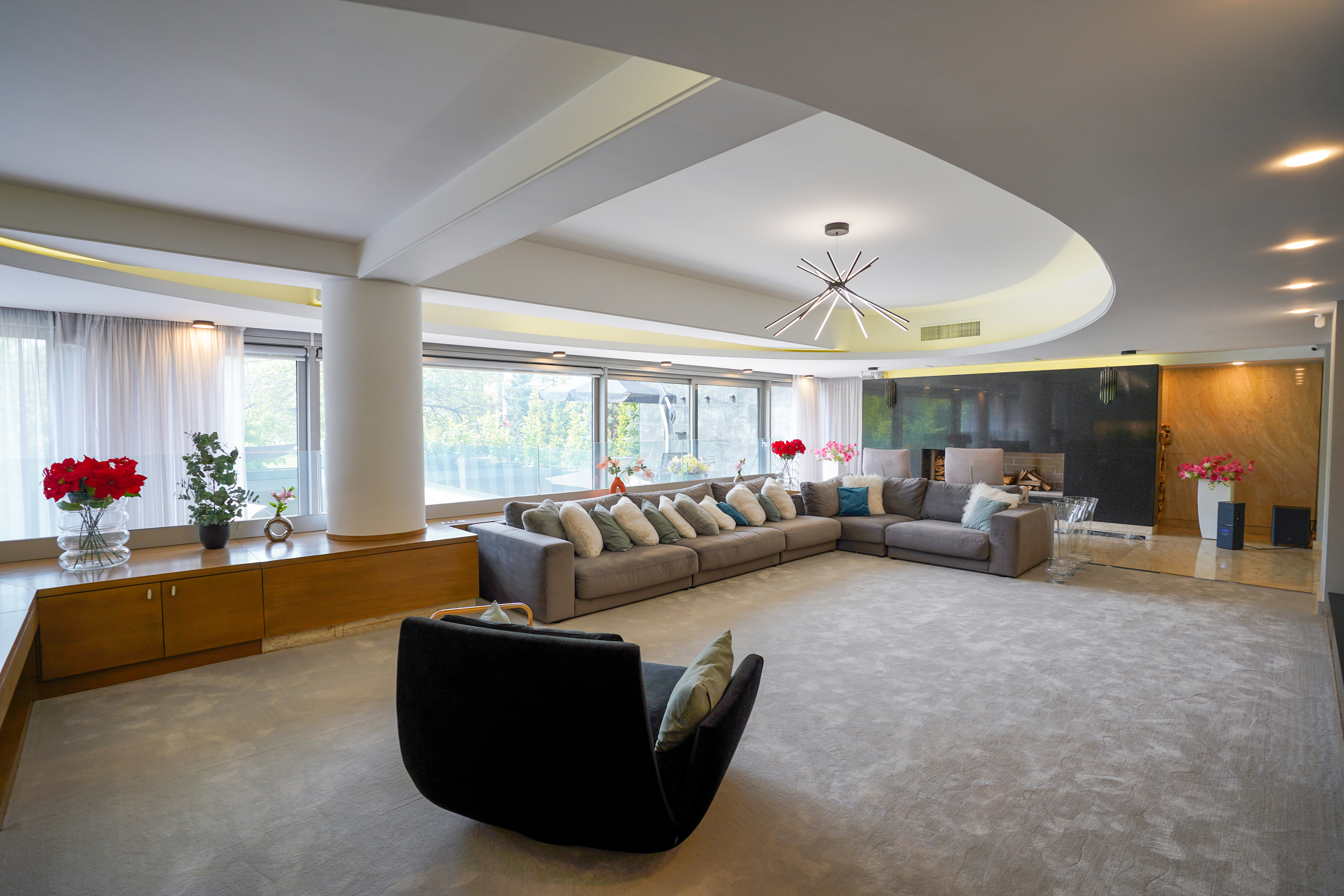  Rare Villa Overlooking Lake Floreasca - 物件實景