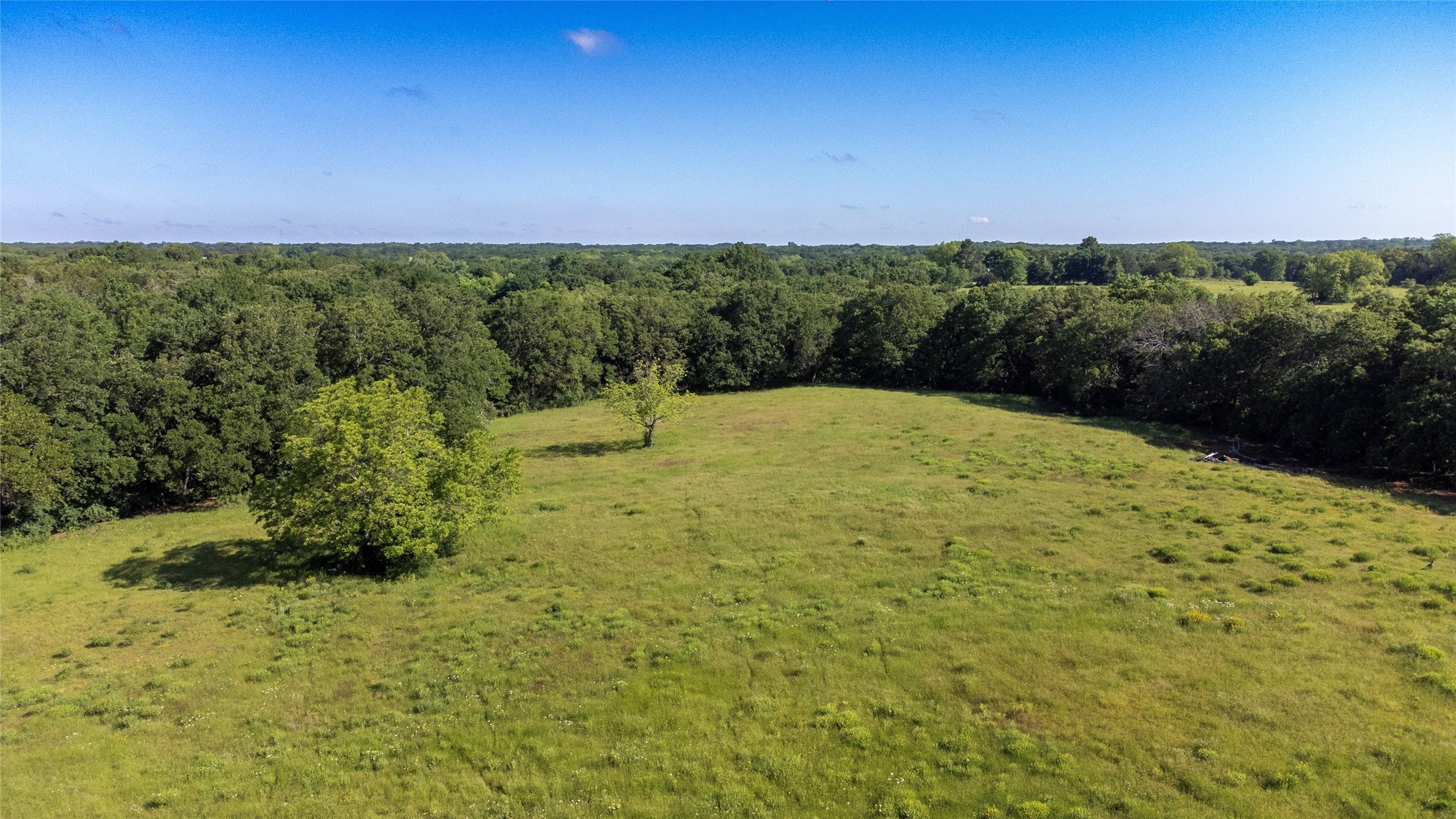 Sadler, Texas, 76264, United States, ,Land,For Sale,1837426