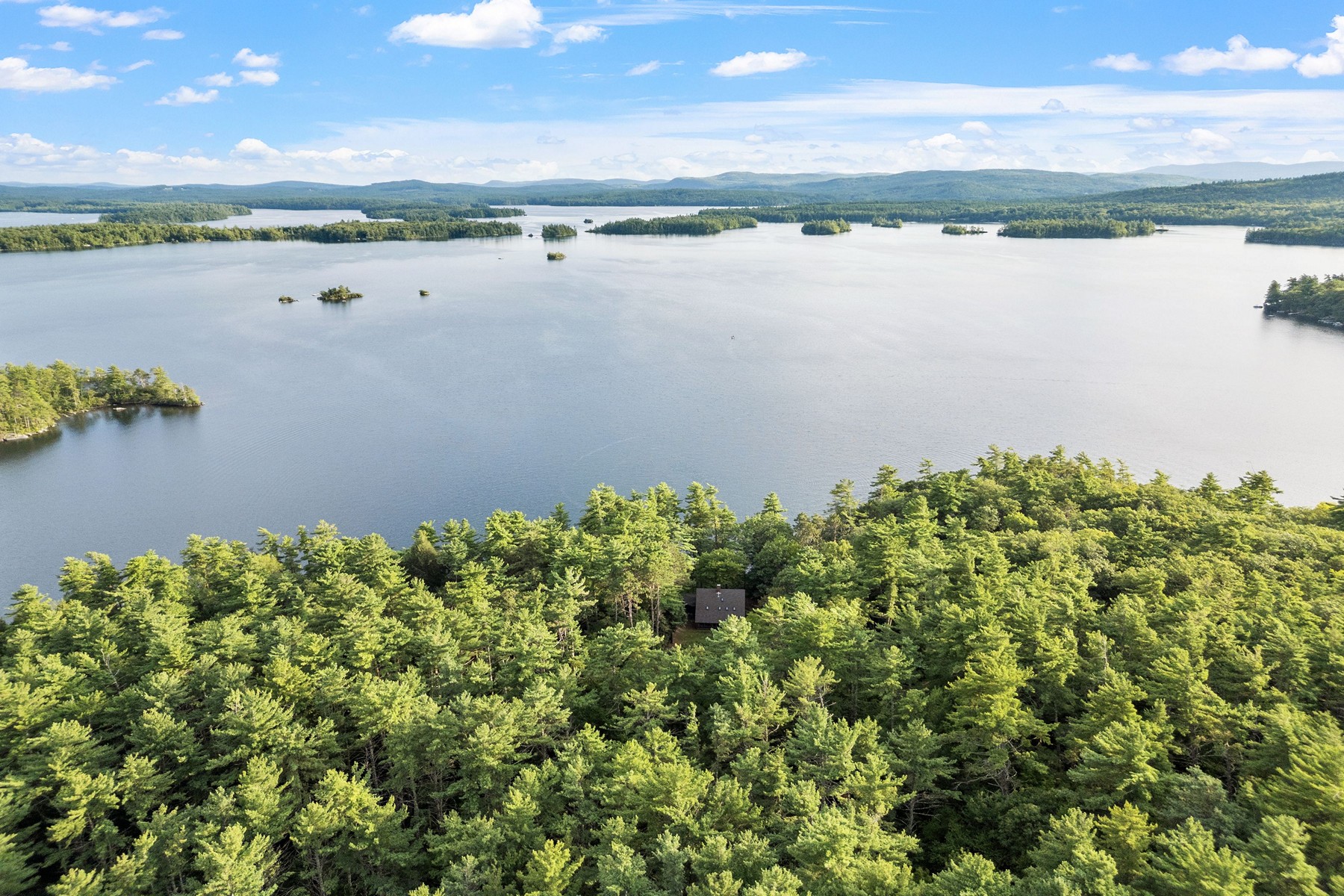  294 Pinehurst Road - 物件實景