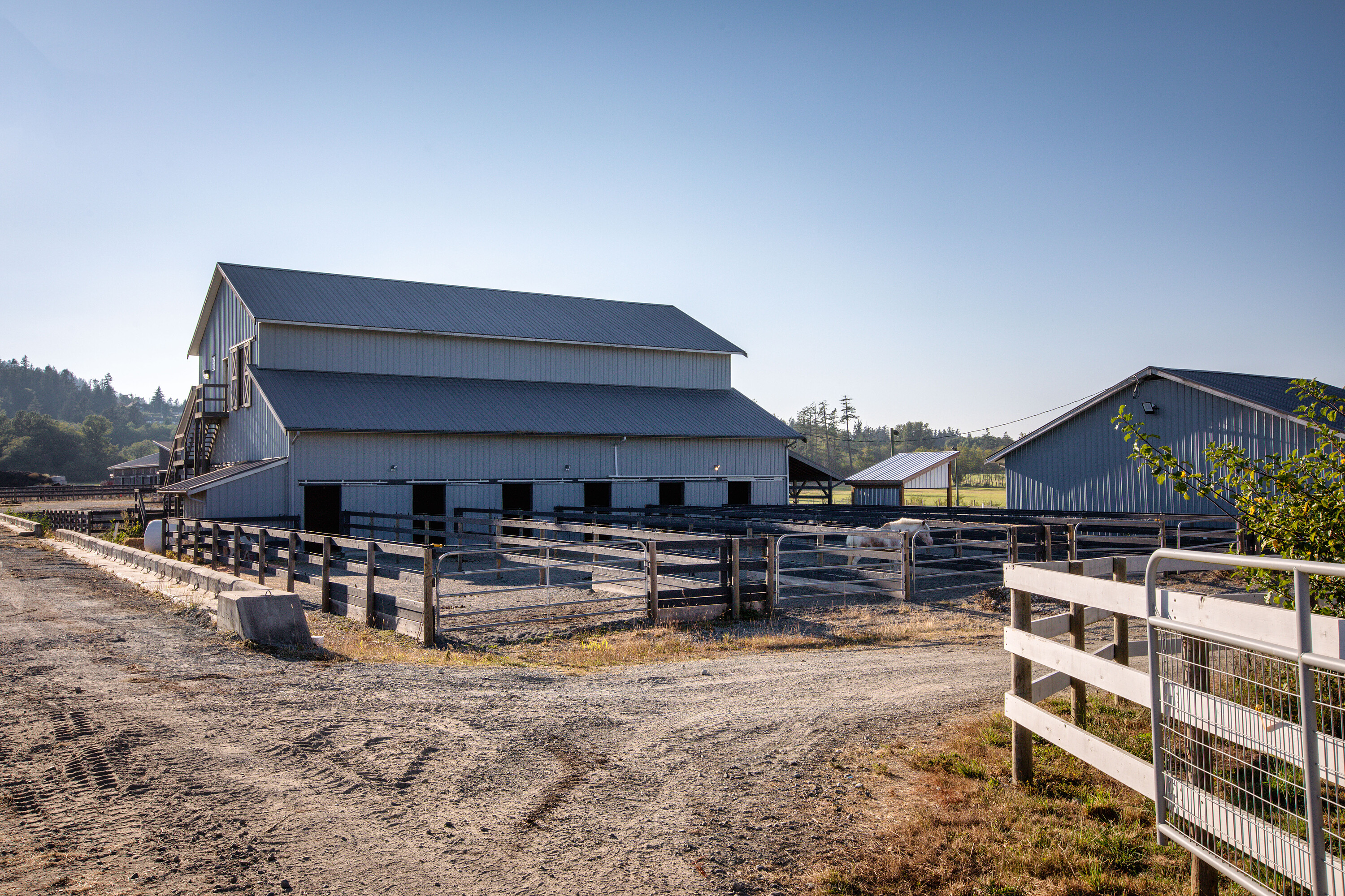  Exquisite Equestrian Estate - 物件實景