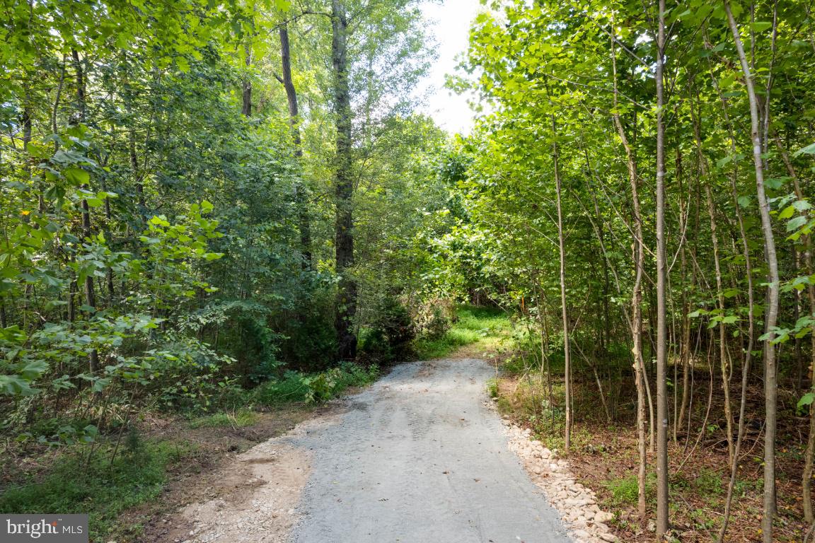 Reva, Virginia, 22735, United States, ,Residential,For Sale,1982526