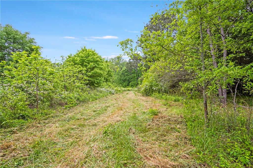 Alpharetta, Georgia, 30004, United States, ,Land,For Sale,1793114
