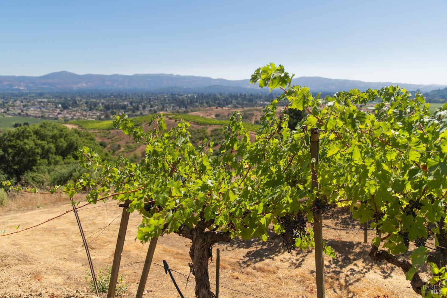 Napa, California, 94558, United States, ,Residential,For Sale,1786065
