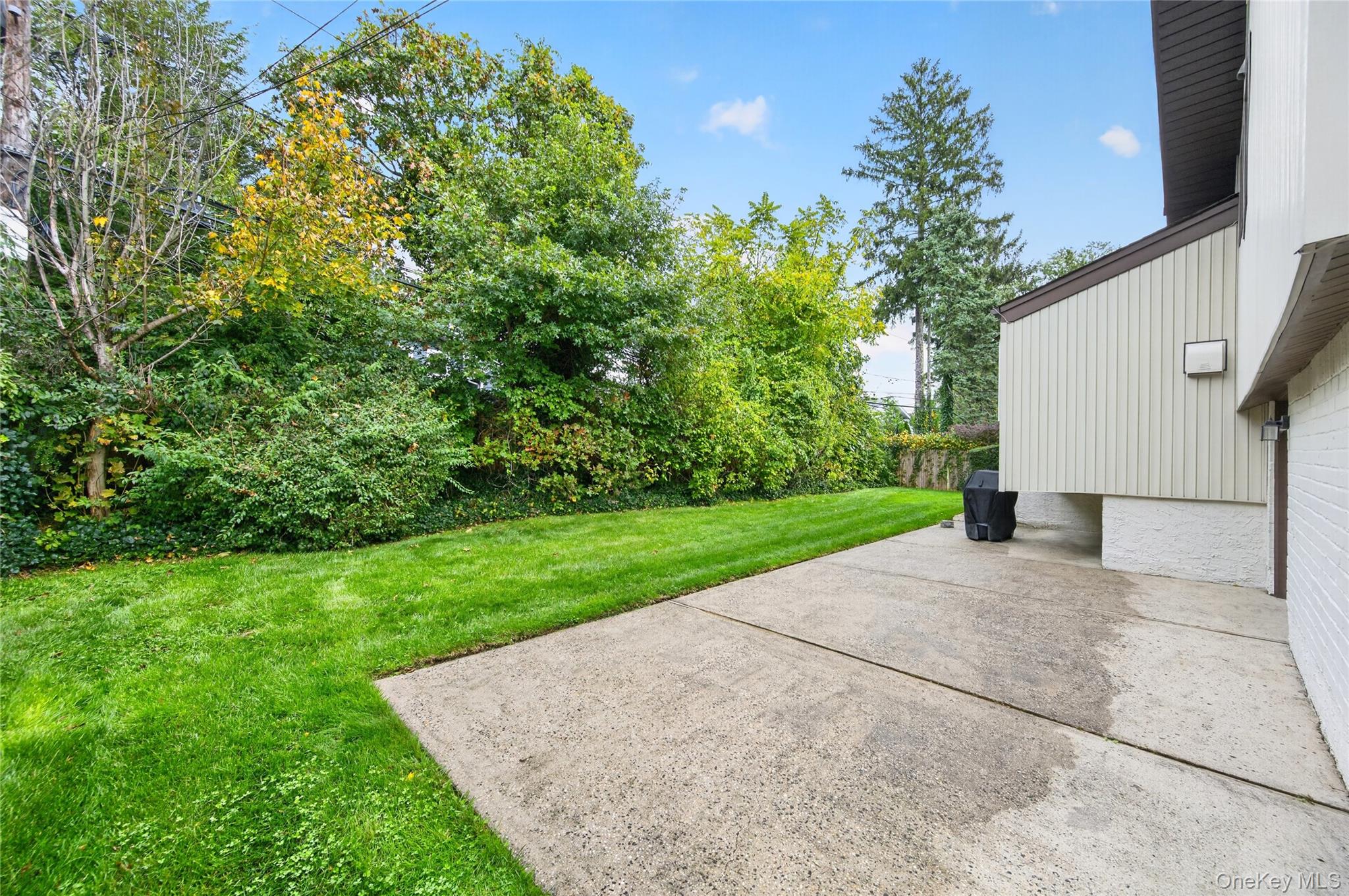  167 Maytime Drive, Jericho, NY, 11753 - 物件實景