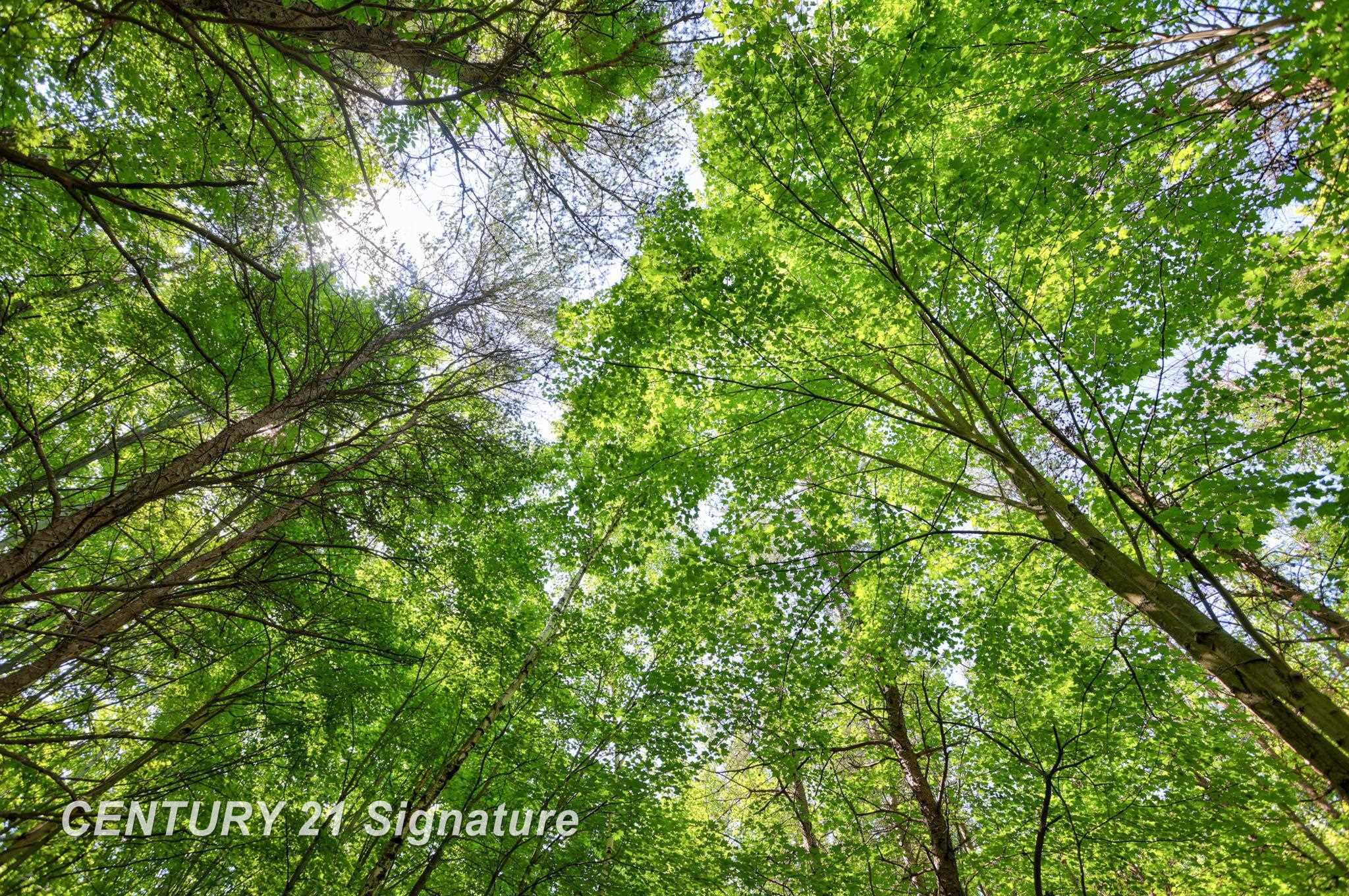 Chesaning, Michigan, 48616, United States, 4 Bedrooms Bedrooms, ,3 BathroomsBathrooms,Residential,For Sale,1980512