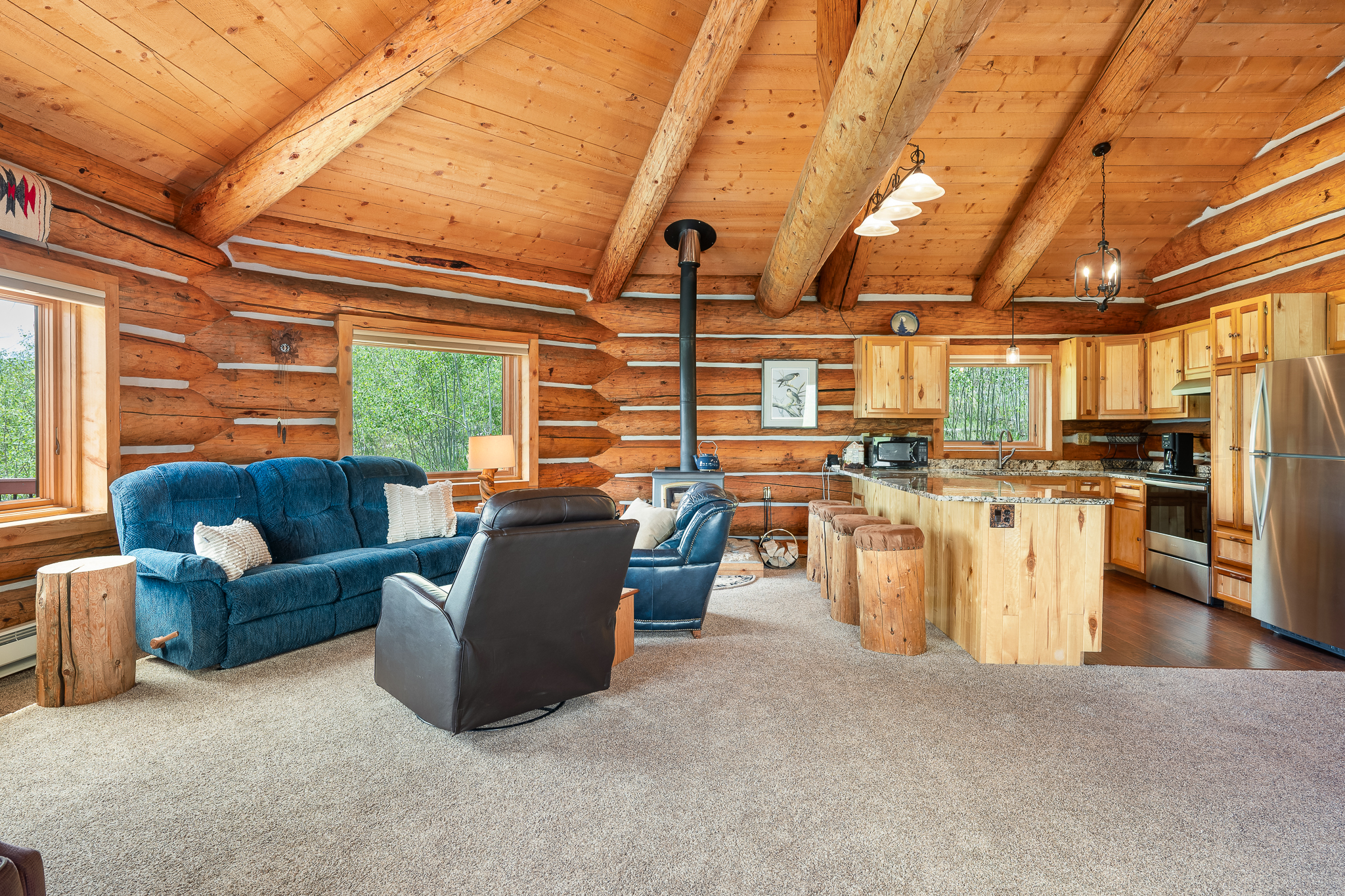  135 Gcr 4110, Granby, CO, 80446 - 物件實景