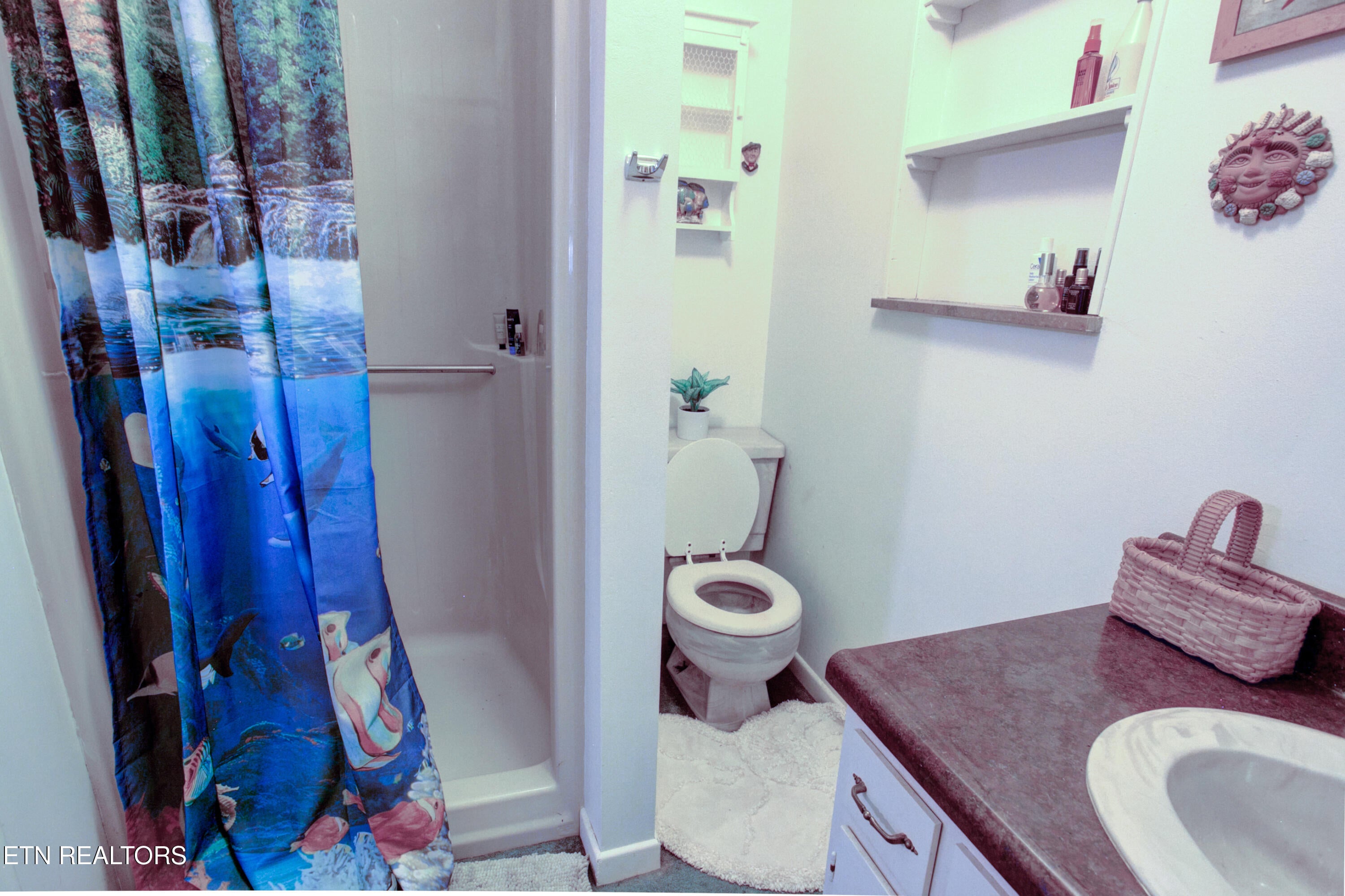 Maryville, Tennessee, 37801, United States, 3 Bedrooms Bedrooms, ,4 BathroomsBathrooms,Residential,For Sale,1994360