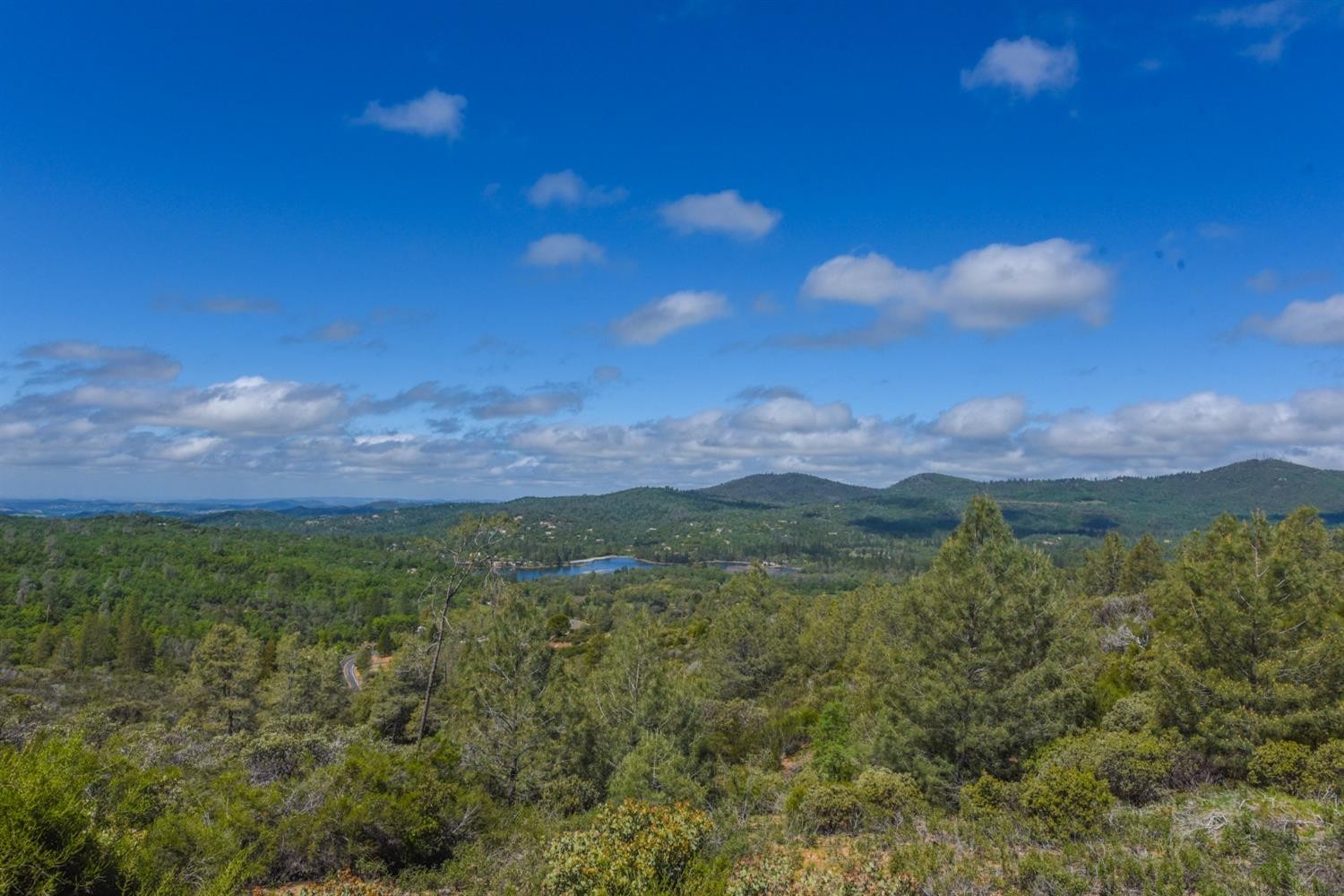 15880 Parkridge Avenue, Sonora, California, 95370, United States, ,Land,For Sale,15880 Parkridge Avenue,1432532