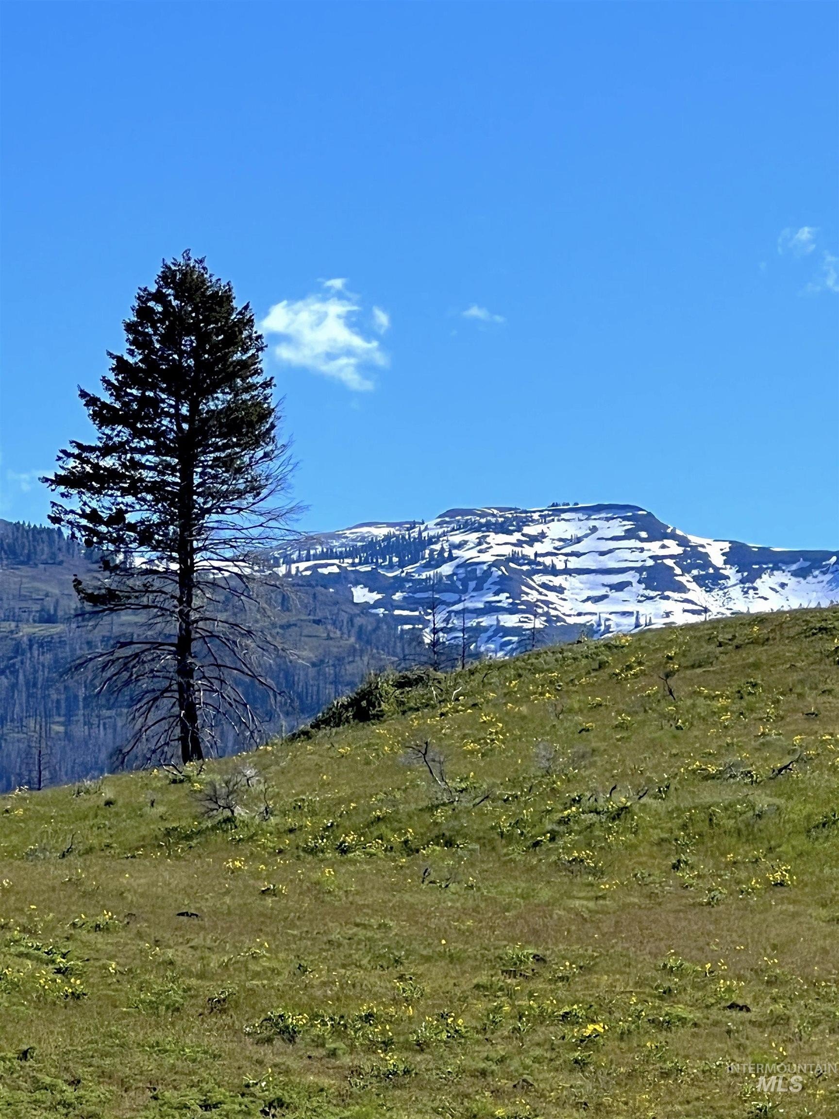 Council, Idaho, 83612, United States, ,Residential,For Sale,1921921