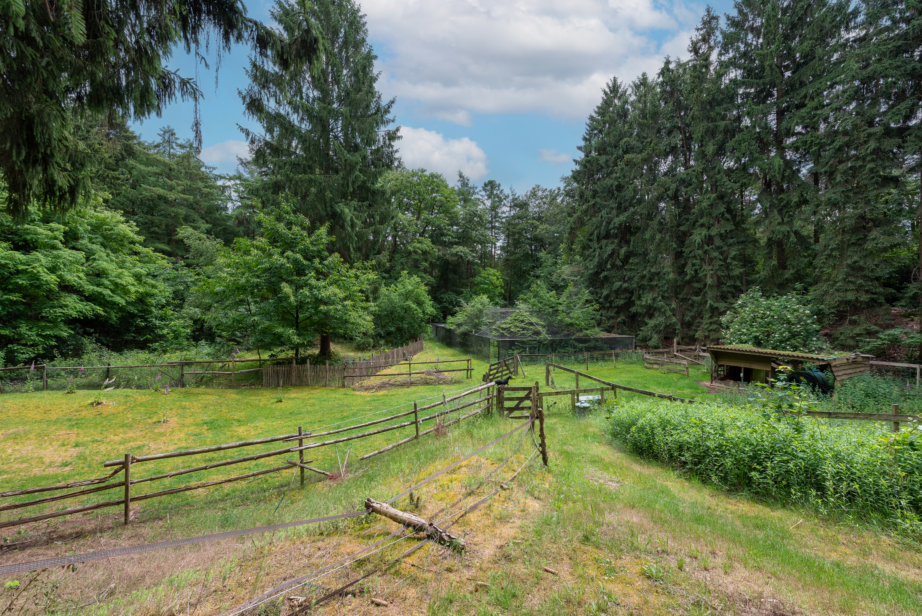  Hidden Woodland Estate with Exceptional Privacy on the Utrechtse Heuvelrug - 物件實景