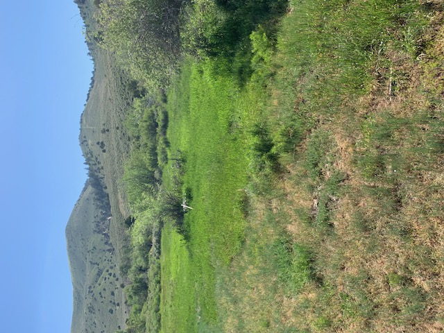 Lapoint, Utah, 84039, United States, ,Land,For Sale,1984021