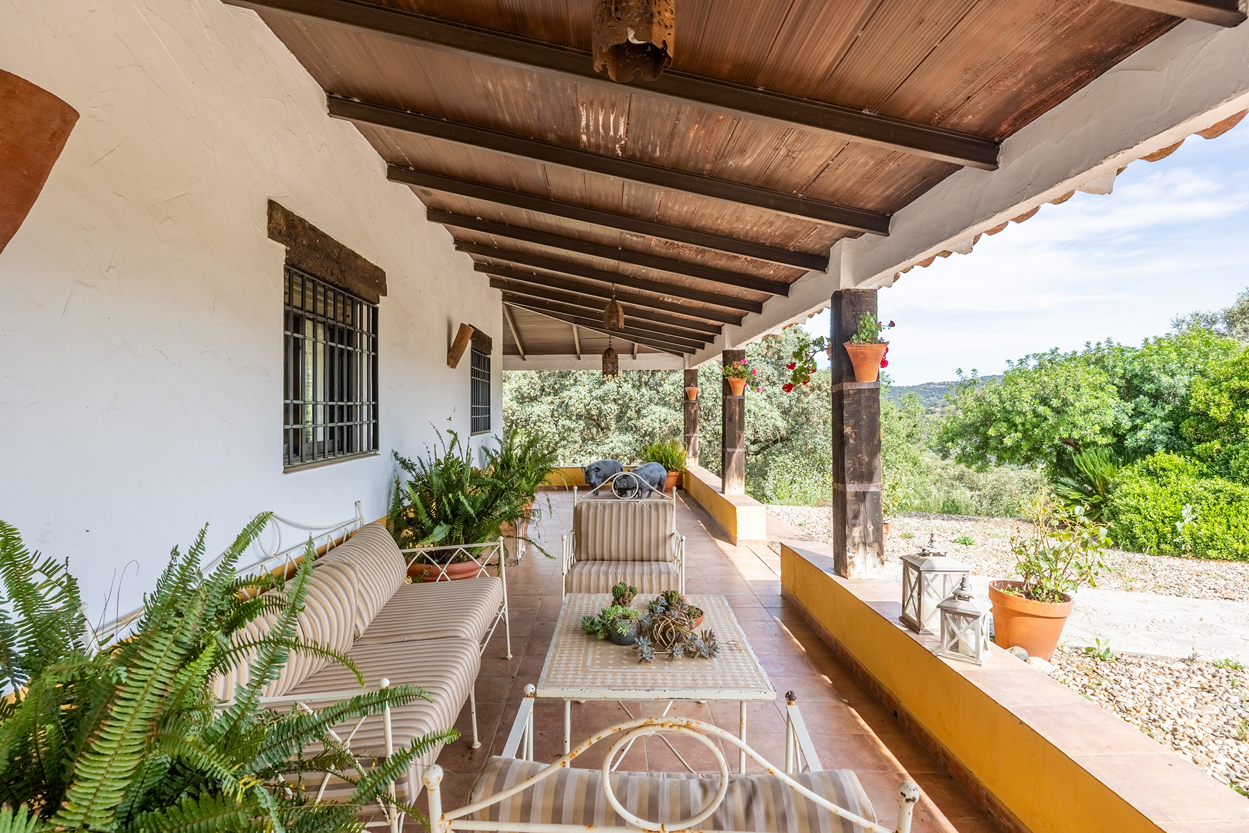  Recreational and hunting estate in the Sierra de Córdoba - 物件實景