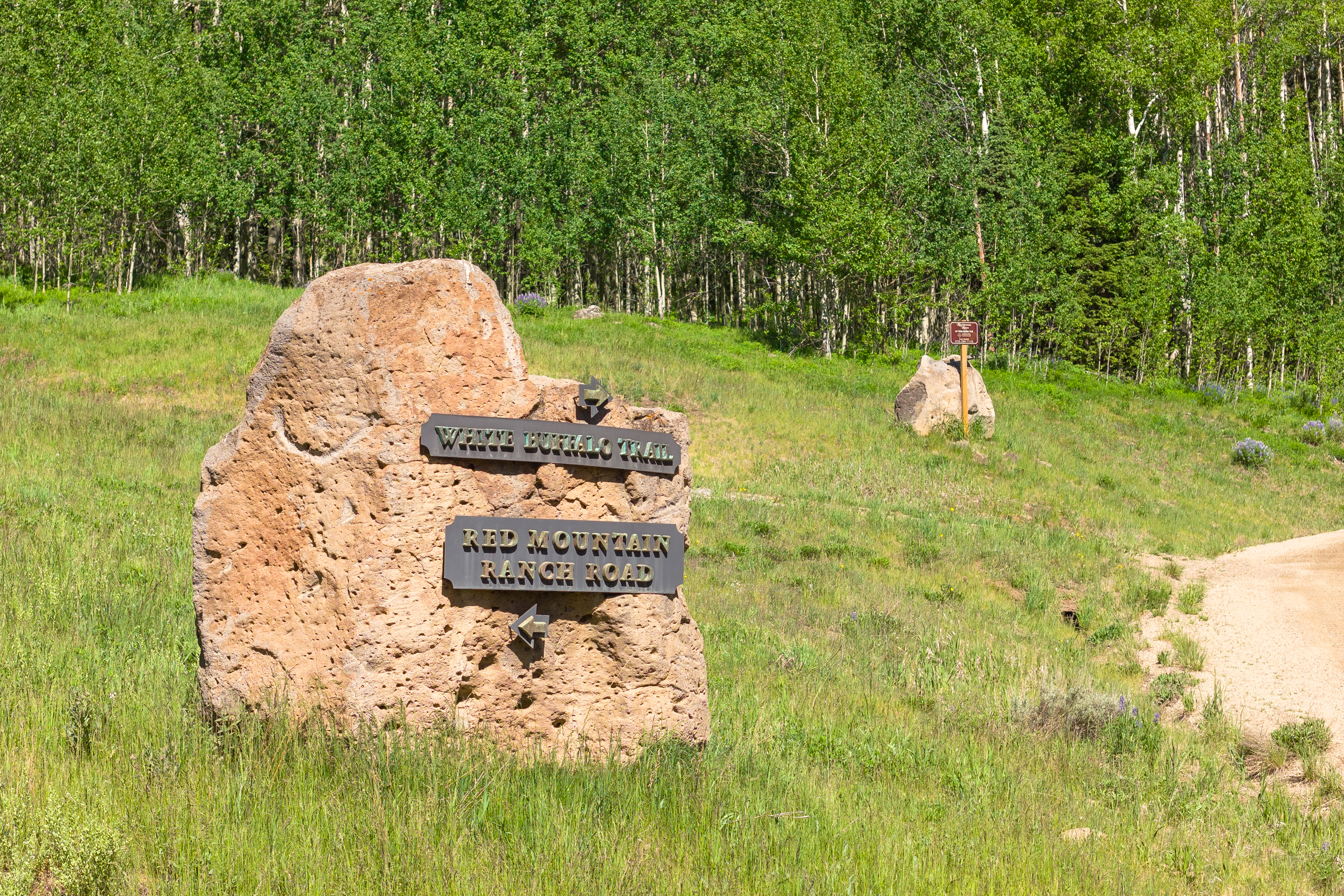  141 White Buffalo Trail, Crested Butte, CO, 81224 - 物件實景