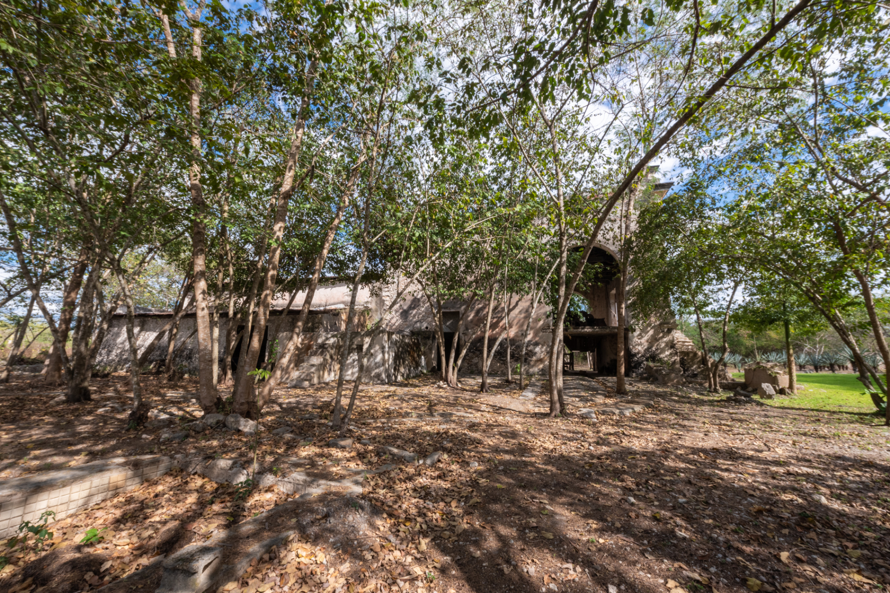  HACIENDA SERENITY OASIS RETREAT IN YUCATAN - 物件實景