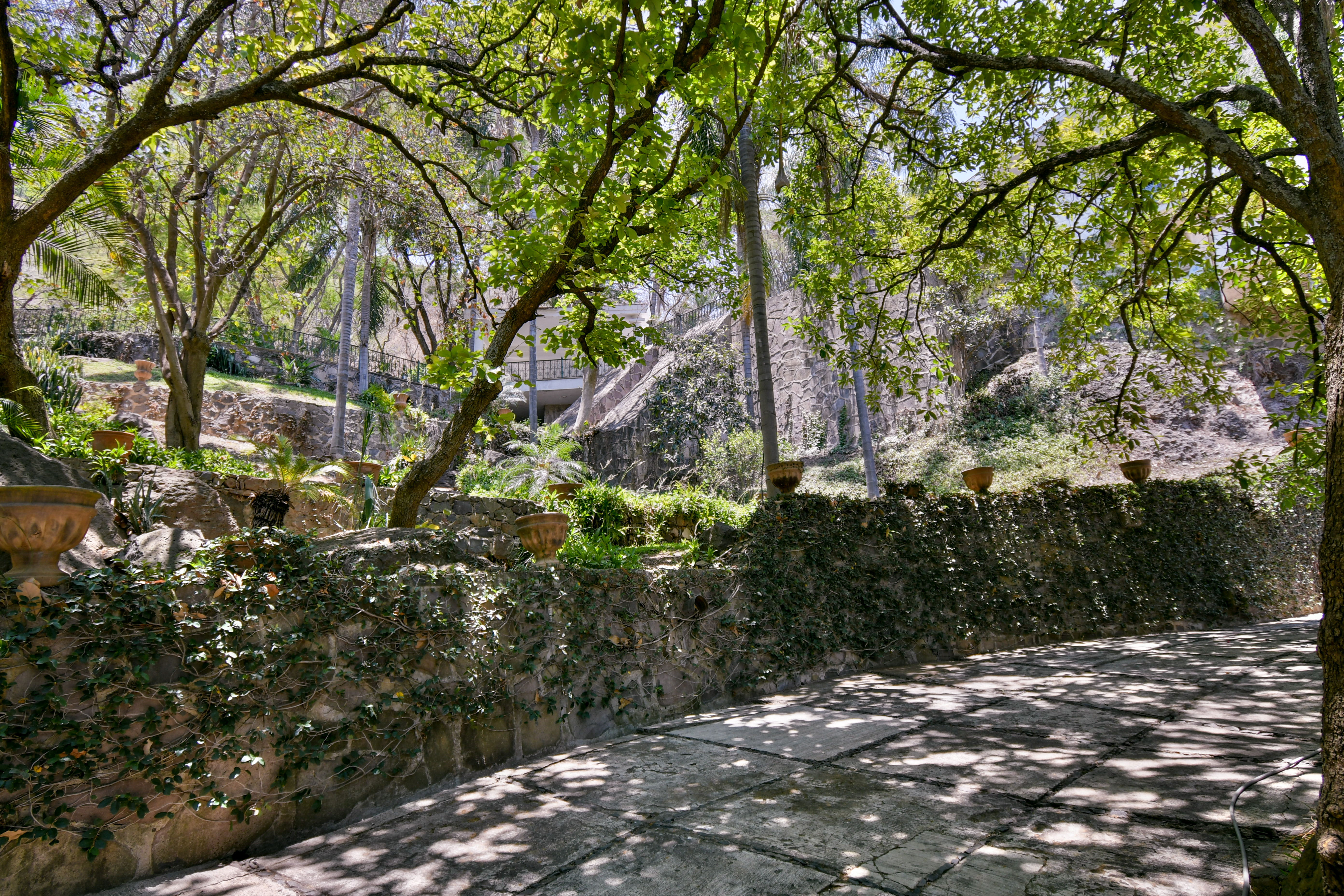  Price Improvement, Residencia Bosque Mediterráneo en Cañadas - 物件實景
