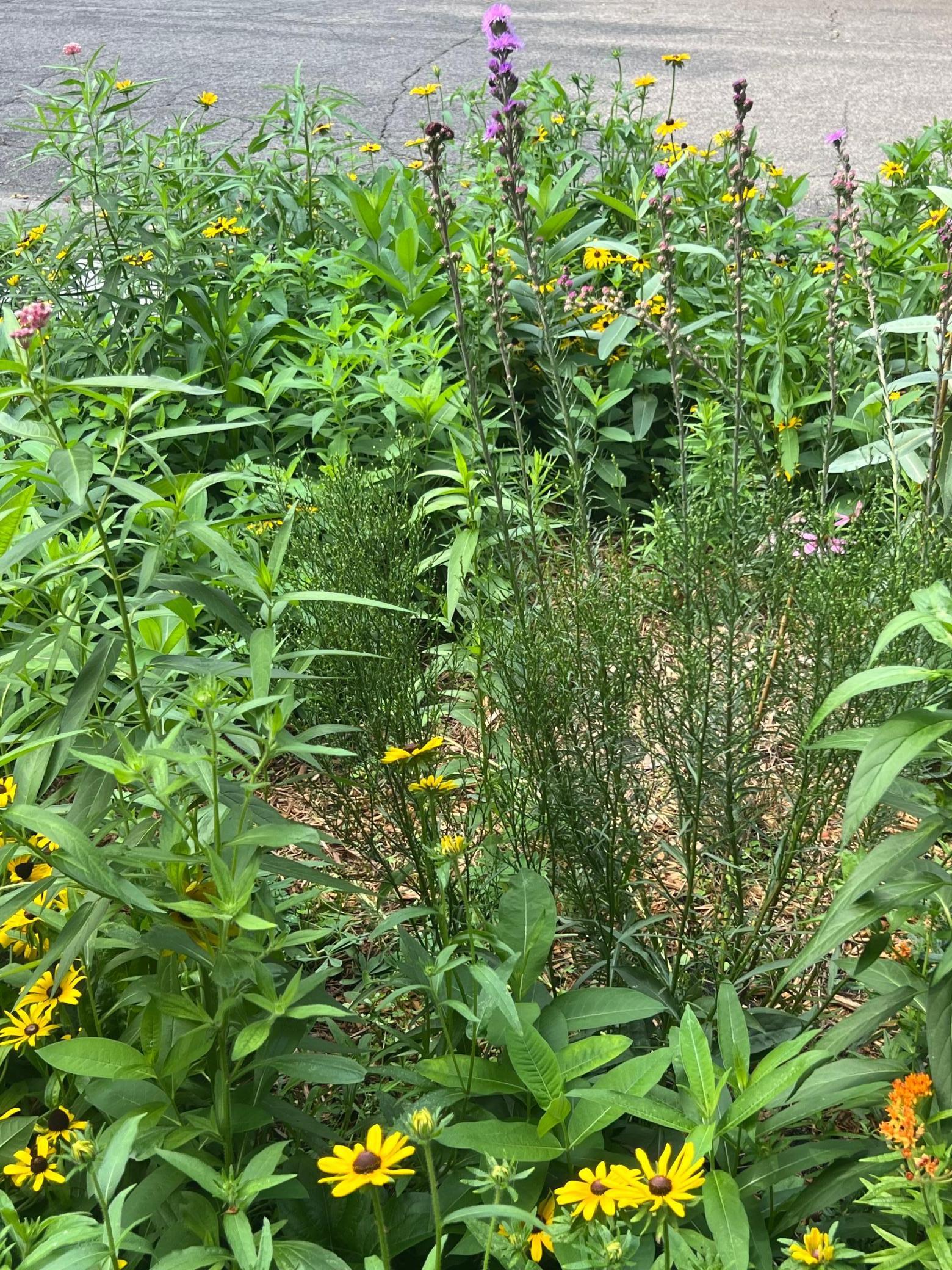 Saint Paul, Minnesota, 55104, United States, 3 Bedrooms Bedrooms, ,1 BathroomBathrooms,Residential,For Sale,1988037