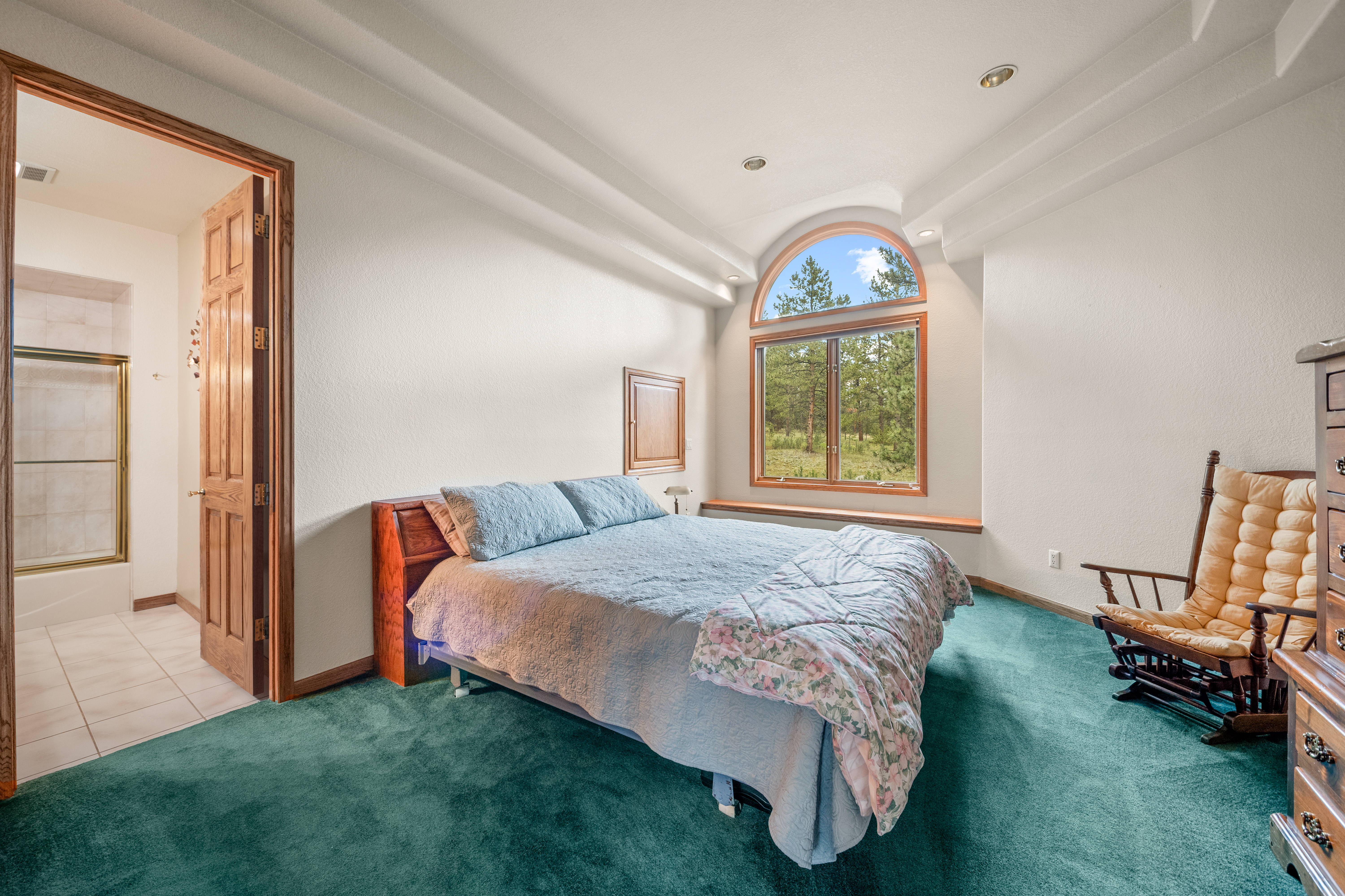  Perfect Blend of Space and Colorado Living That Backs to Pike National Forest - 物件實景