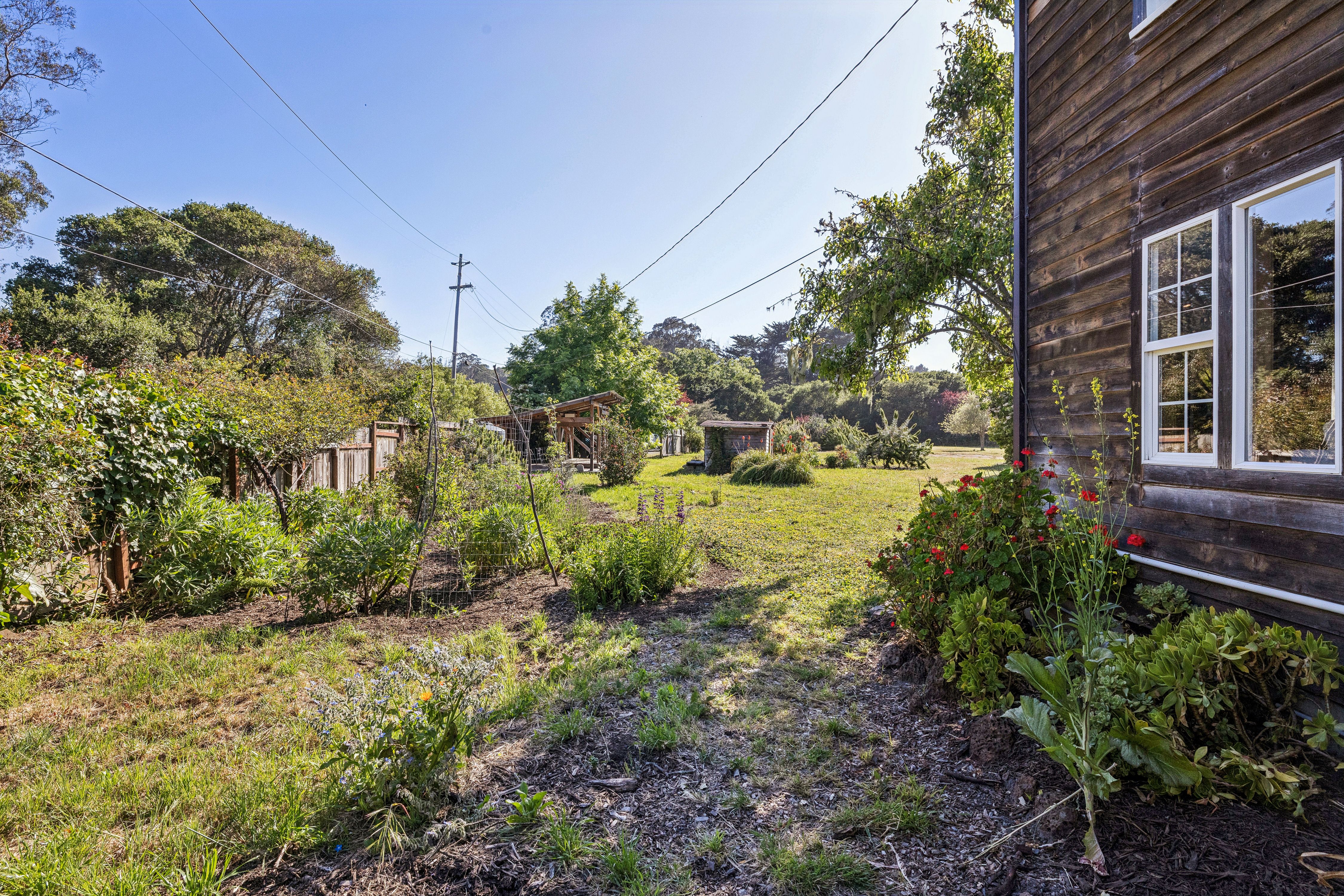  Bolinas Legend – Oldest Residence on Coastal Marin - 物件實景