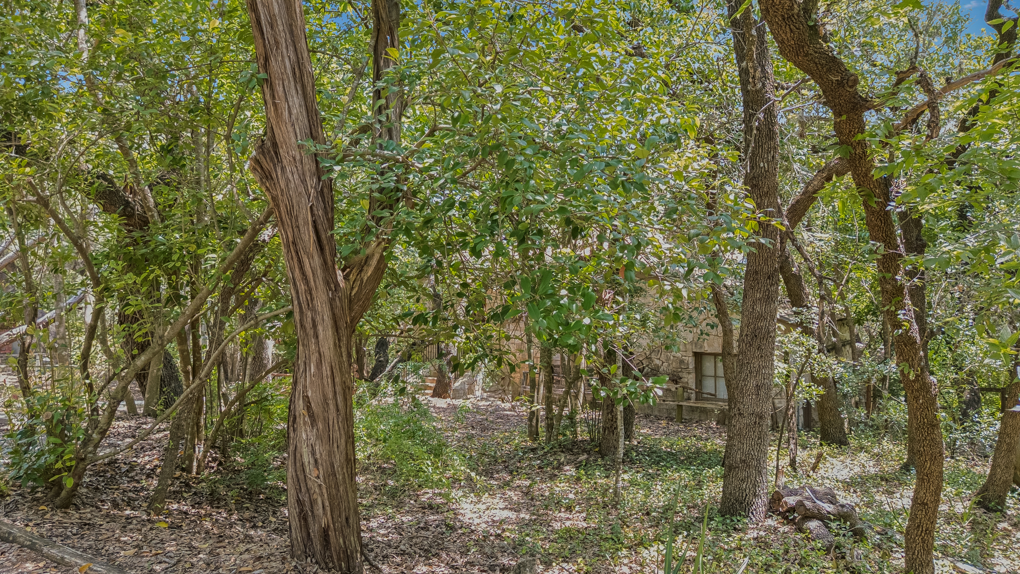  Spanish-Style Historic Woodland Retreat in Helotes - 物件實景