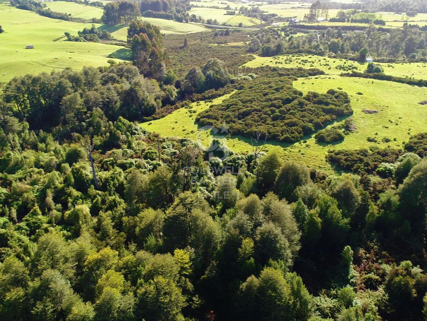 Ancud, Chile, ,Residential,For Sale,1759284