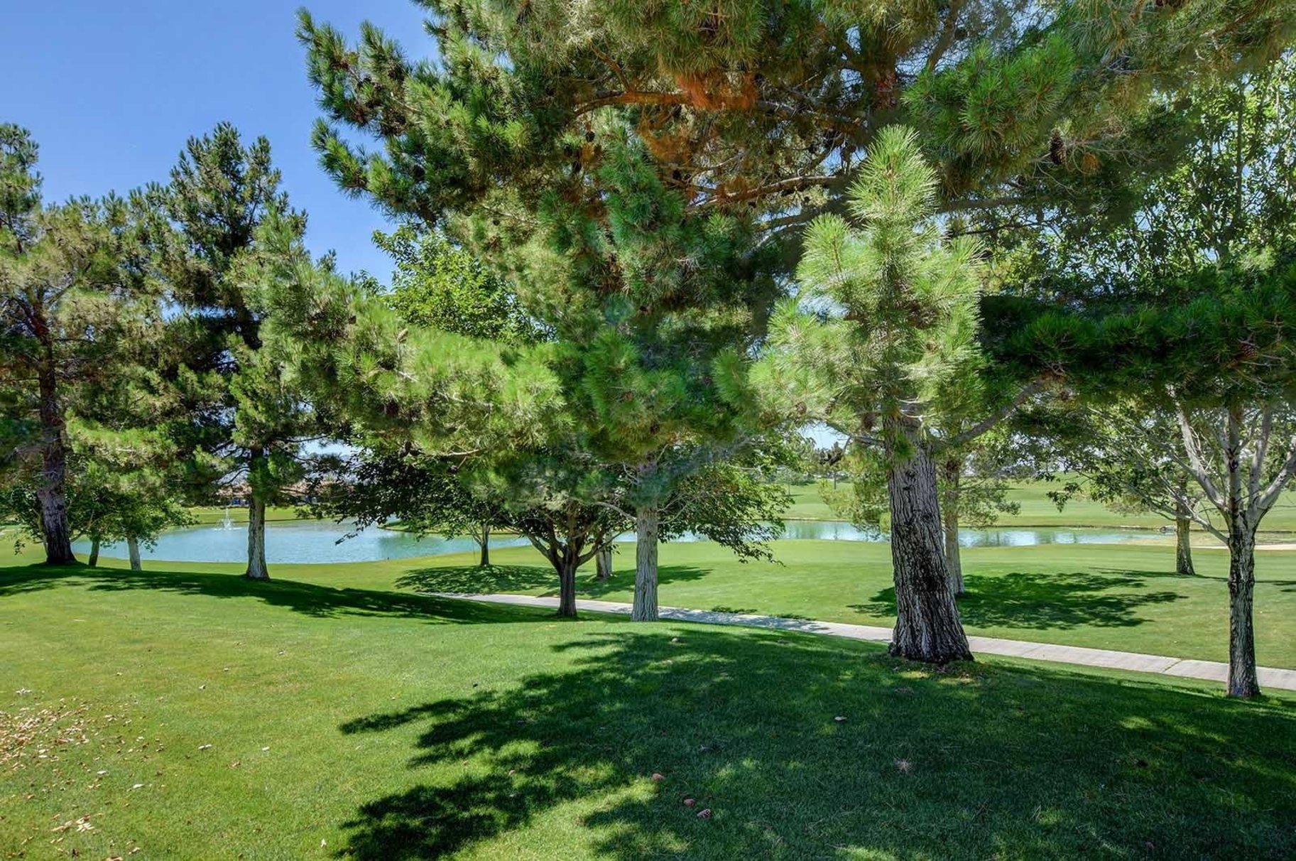  New to Market - 物件實景