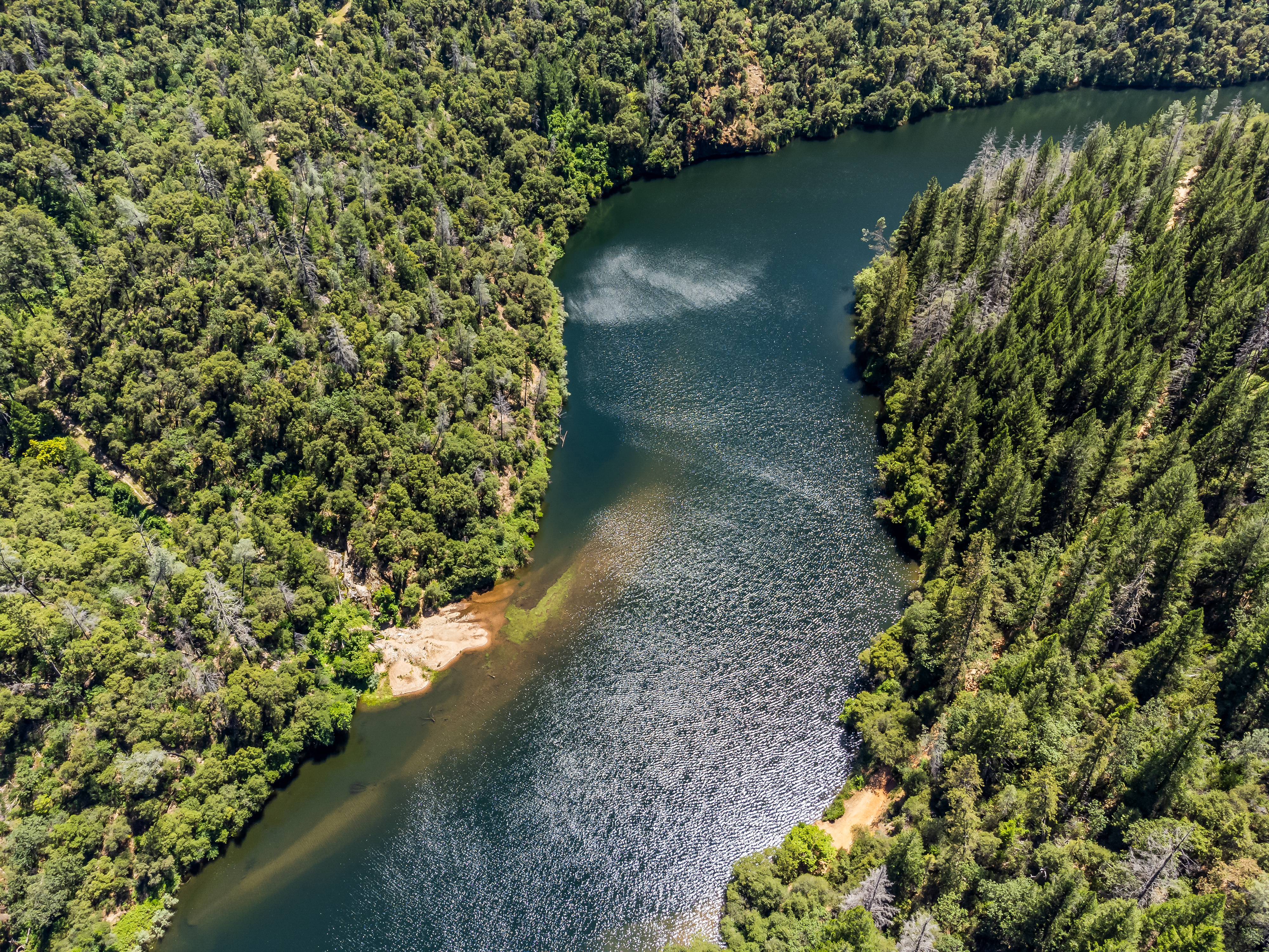  2640 Trail Gulch Road, Placerville, CA 95667 - 物件實景