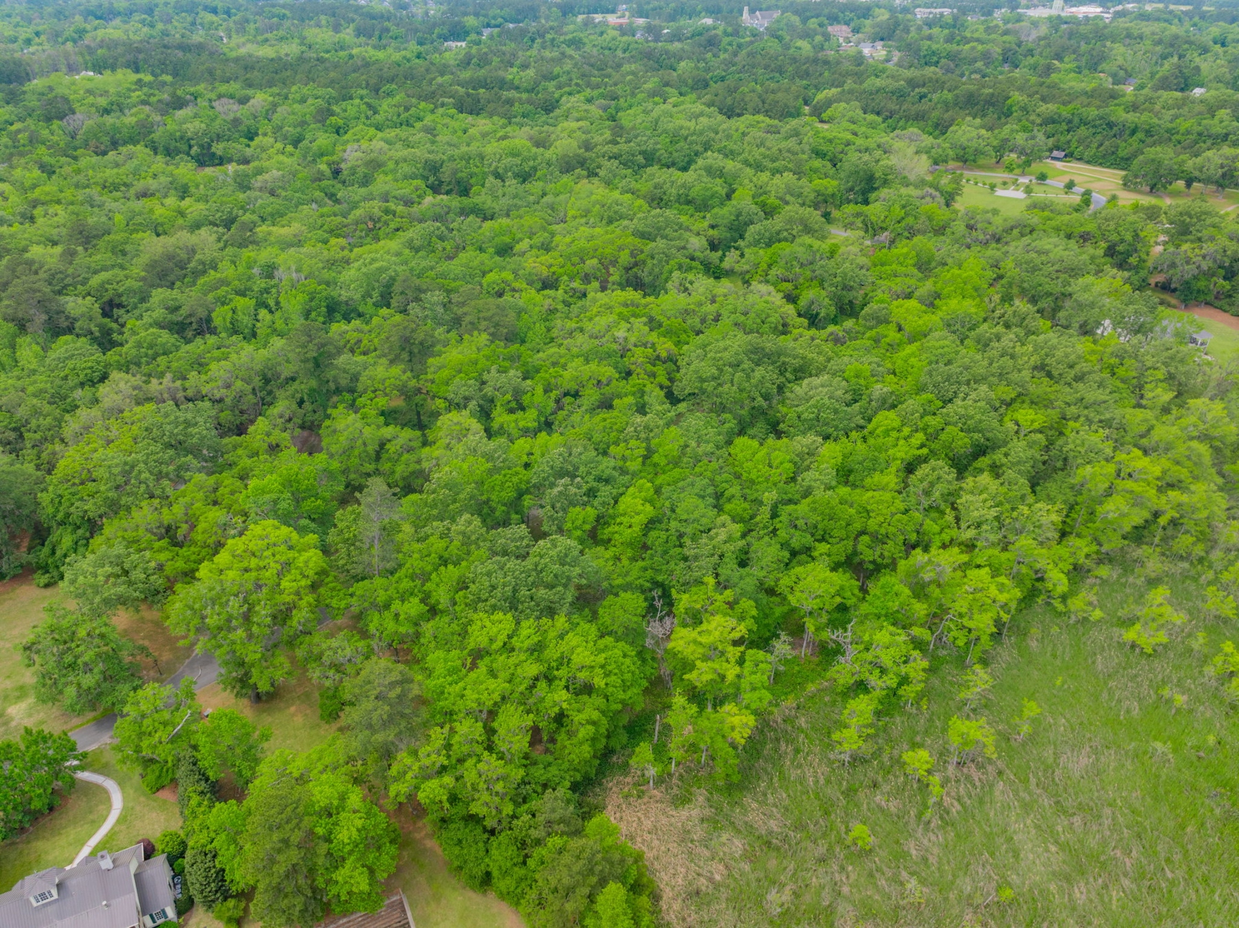  800 Silk Hope Drive, Richmond Hill - 物件實景