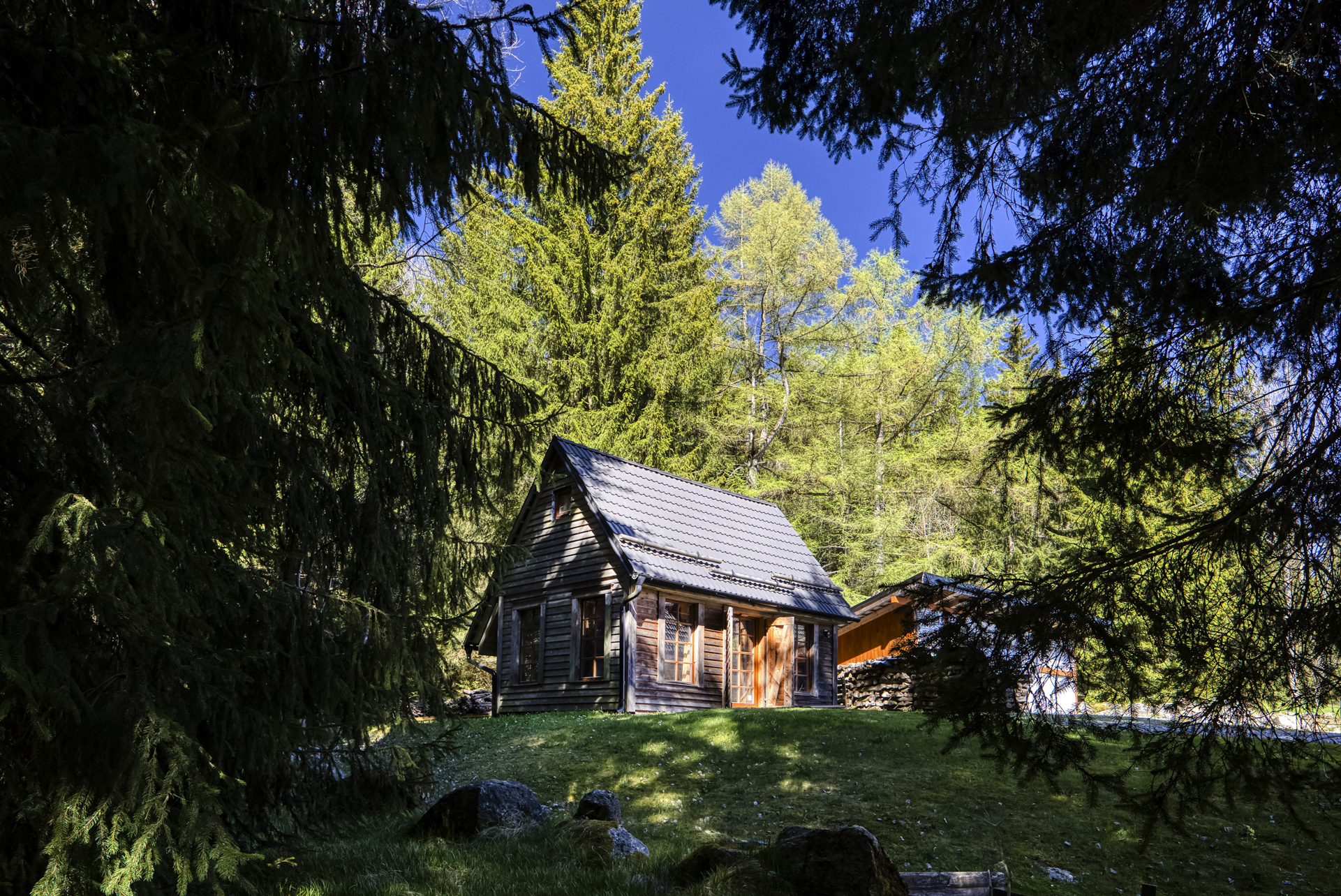  Mountain chalet, South Bohemia - Svatý Tomáš - 物件實景