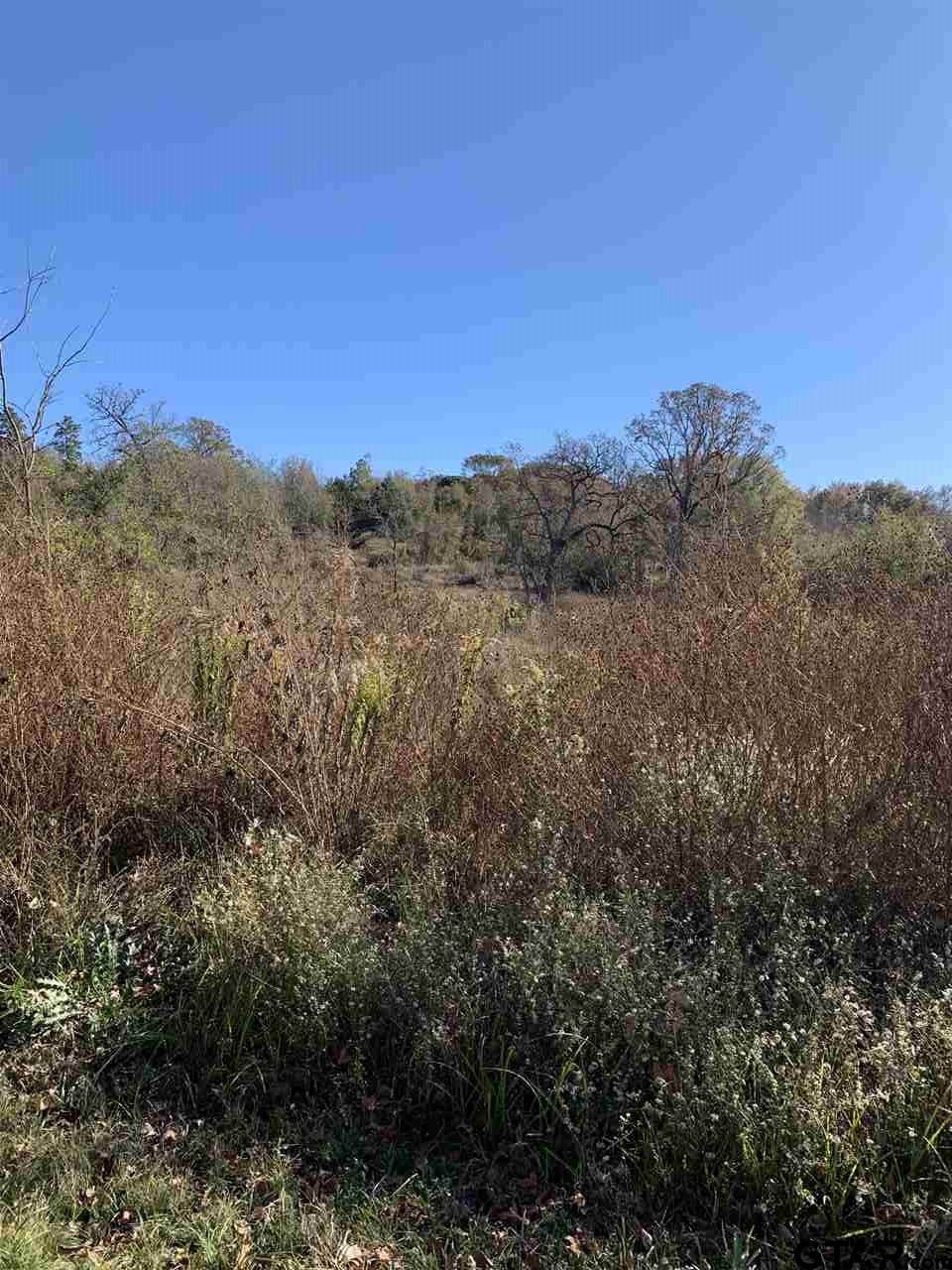 TBD CR 463 & I20, Lindale, Texas, 75771, United States, ,Land,For Sale,TBD CR 463 & I20,1673593