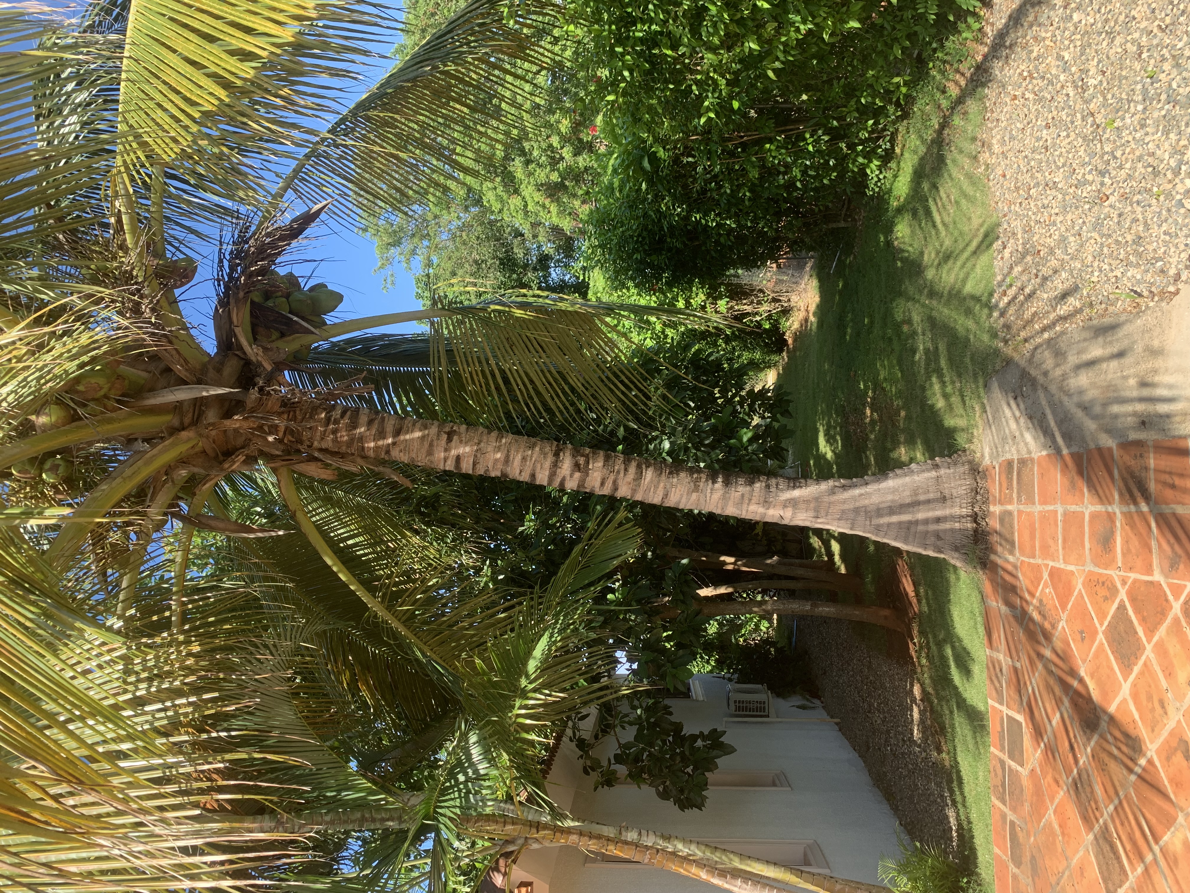 Sosua, DO, 6 Bedrooms Bedrooms, ,6 BathroomsBathrooms,Residential,For Sale,1995647