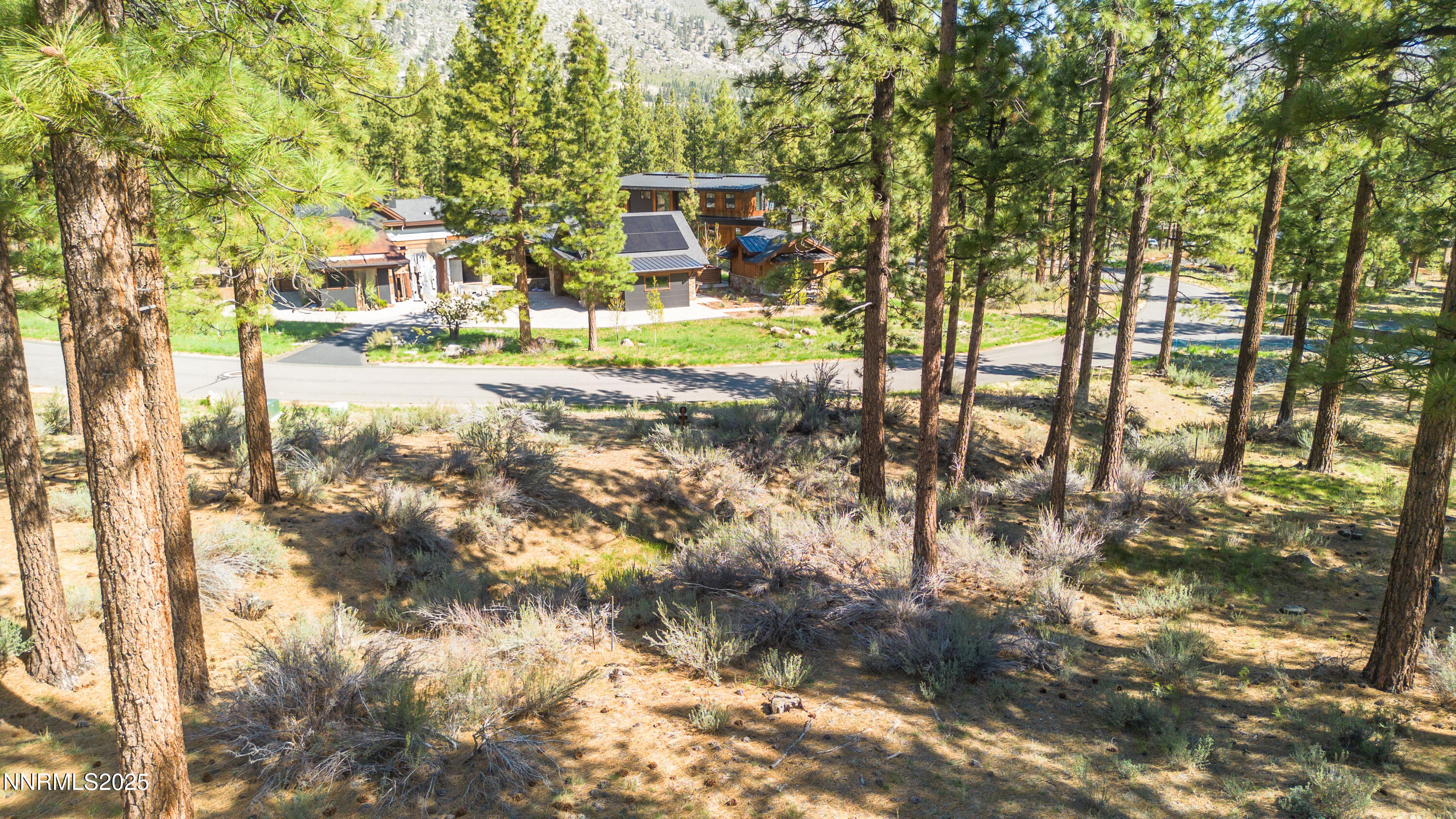 Carson City, Nevada, 89705, United States, ,Land,For Sale,1846834