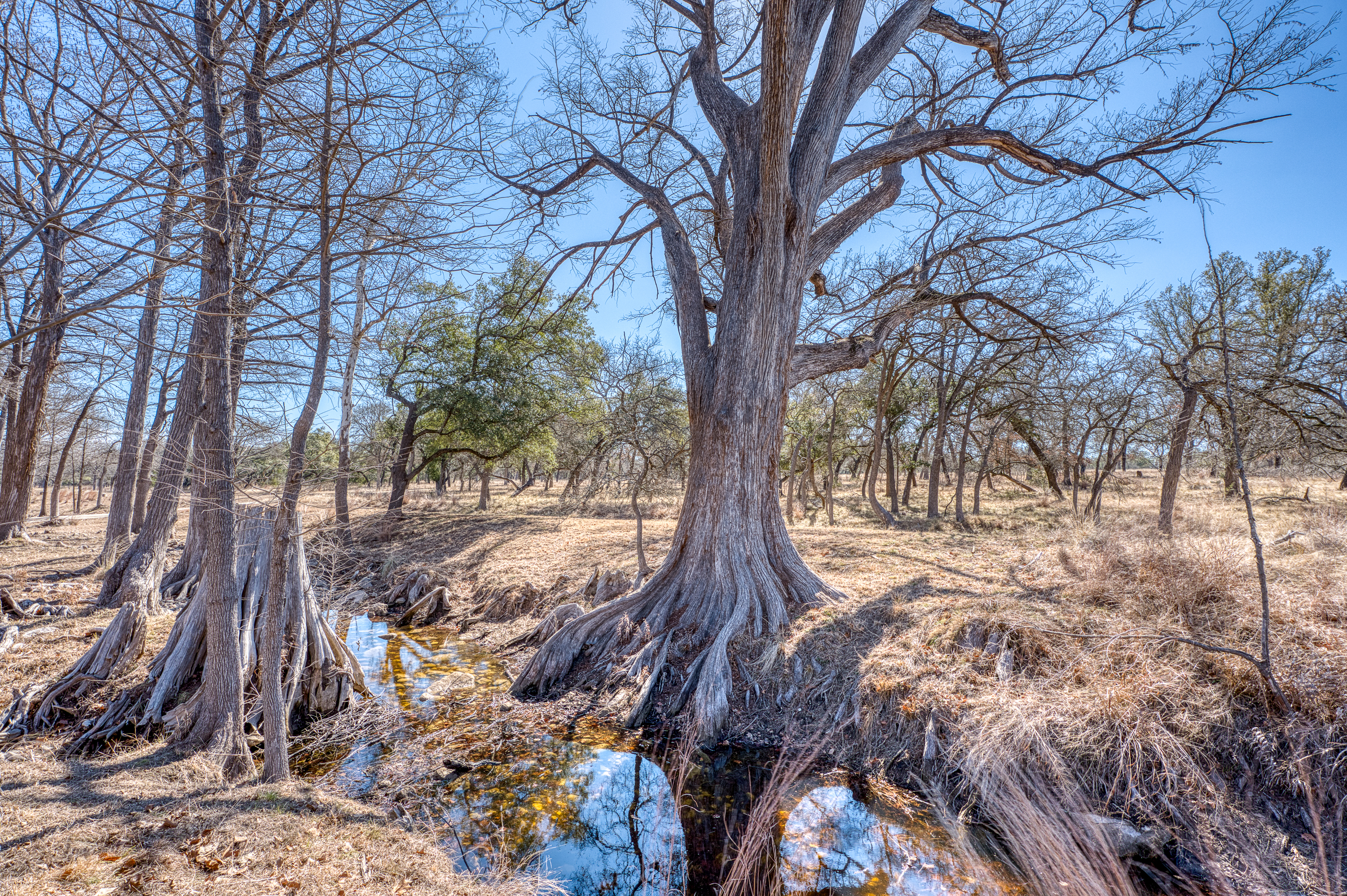  Cypress Island Ranch in Blanco County - 物件實景