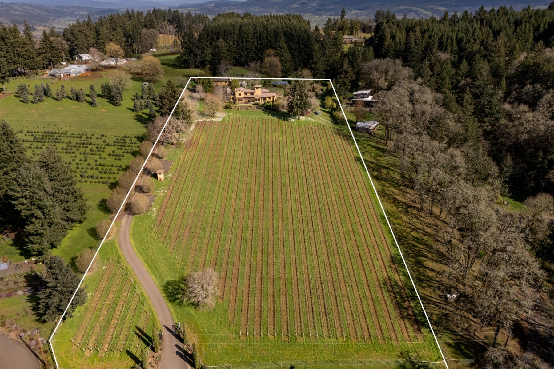  17001 NE FAIRVIEW DR Dundee, OR 97115 - 物件實景