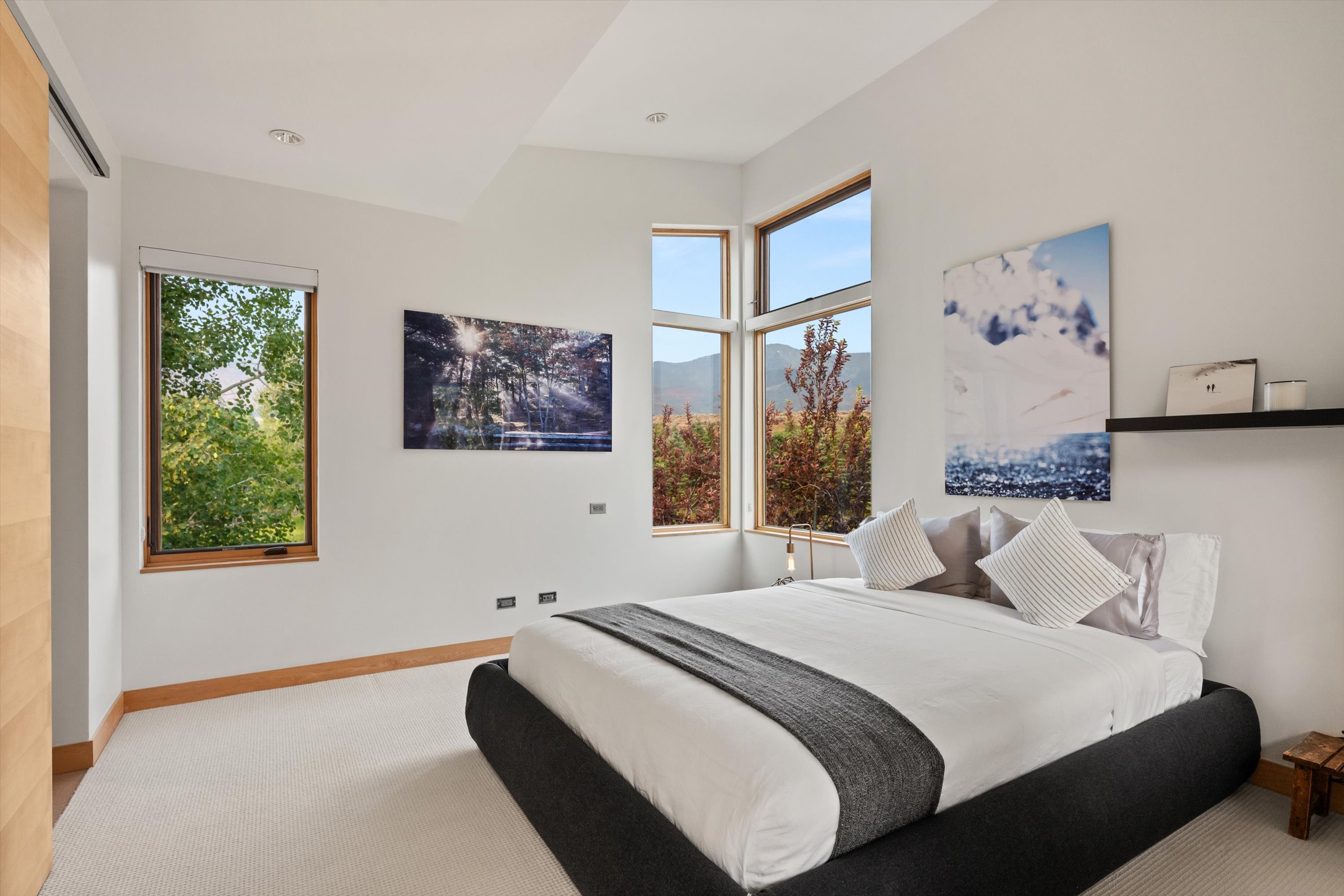  Designed for the Roaring Fork River  57 Liberty Lane, Woody Creek - 物件實景