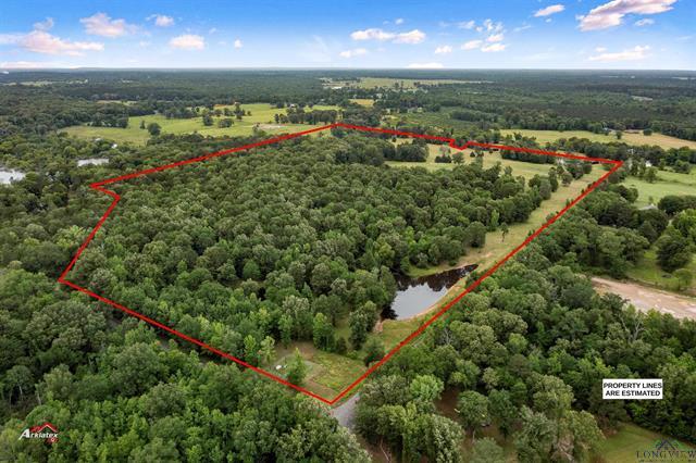Carthage, Texas, 75633, United States, ,Land,For Sale,1826427