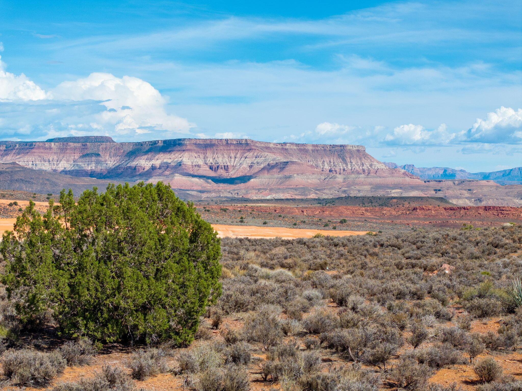 Leeds, Utah, 84746, United States, ,Residential,For Sale,2005947