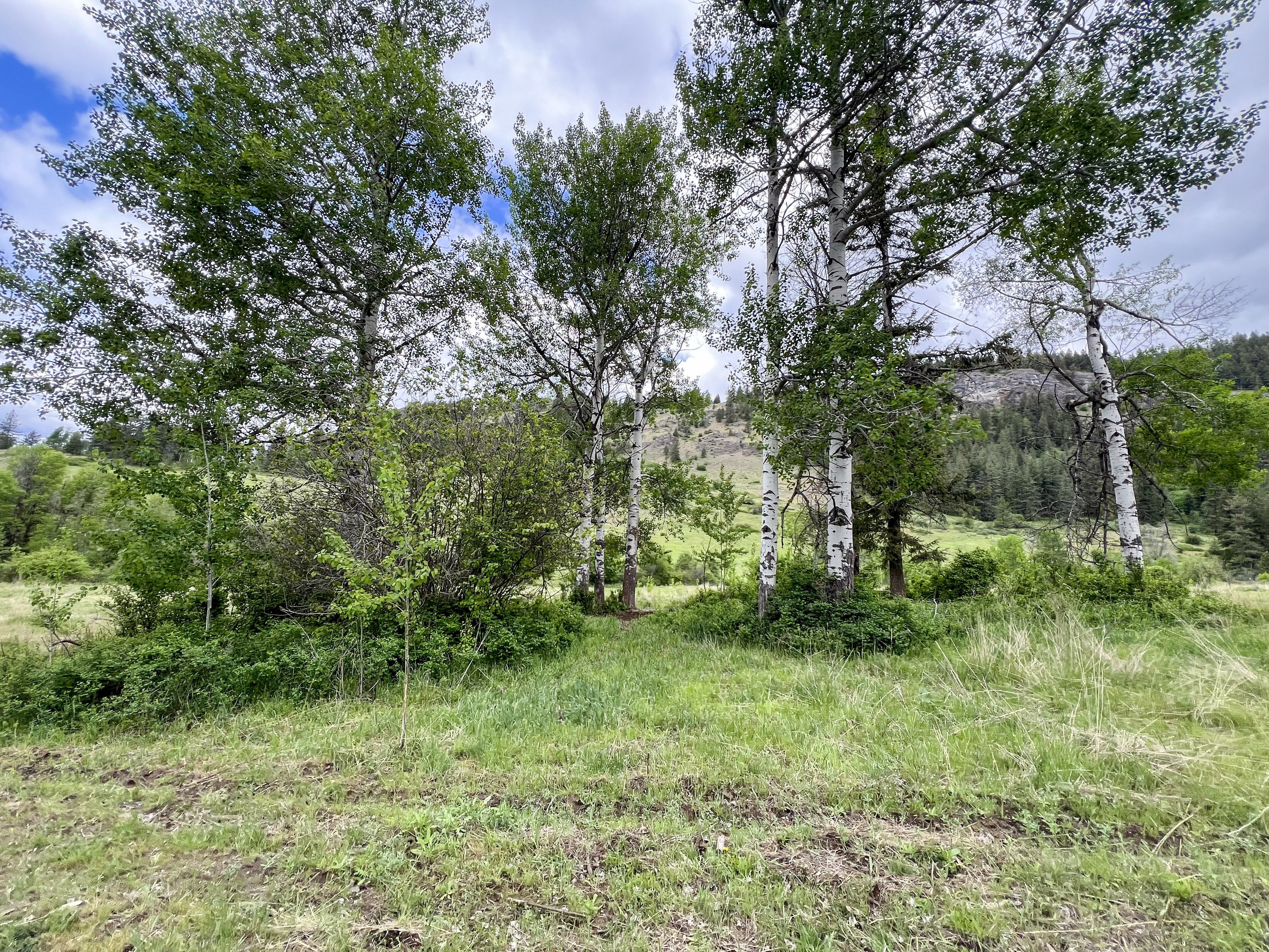 Kettle Falls, Washington, 99141, United States, 3 Bedrooms Bedrooms, ,2 BathroomsBathrooms,Residential,For Sale,1985709