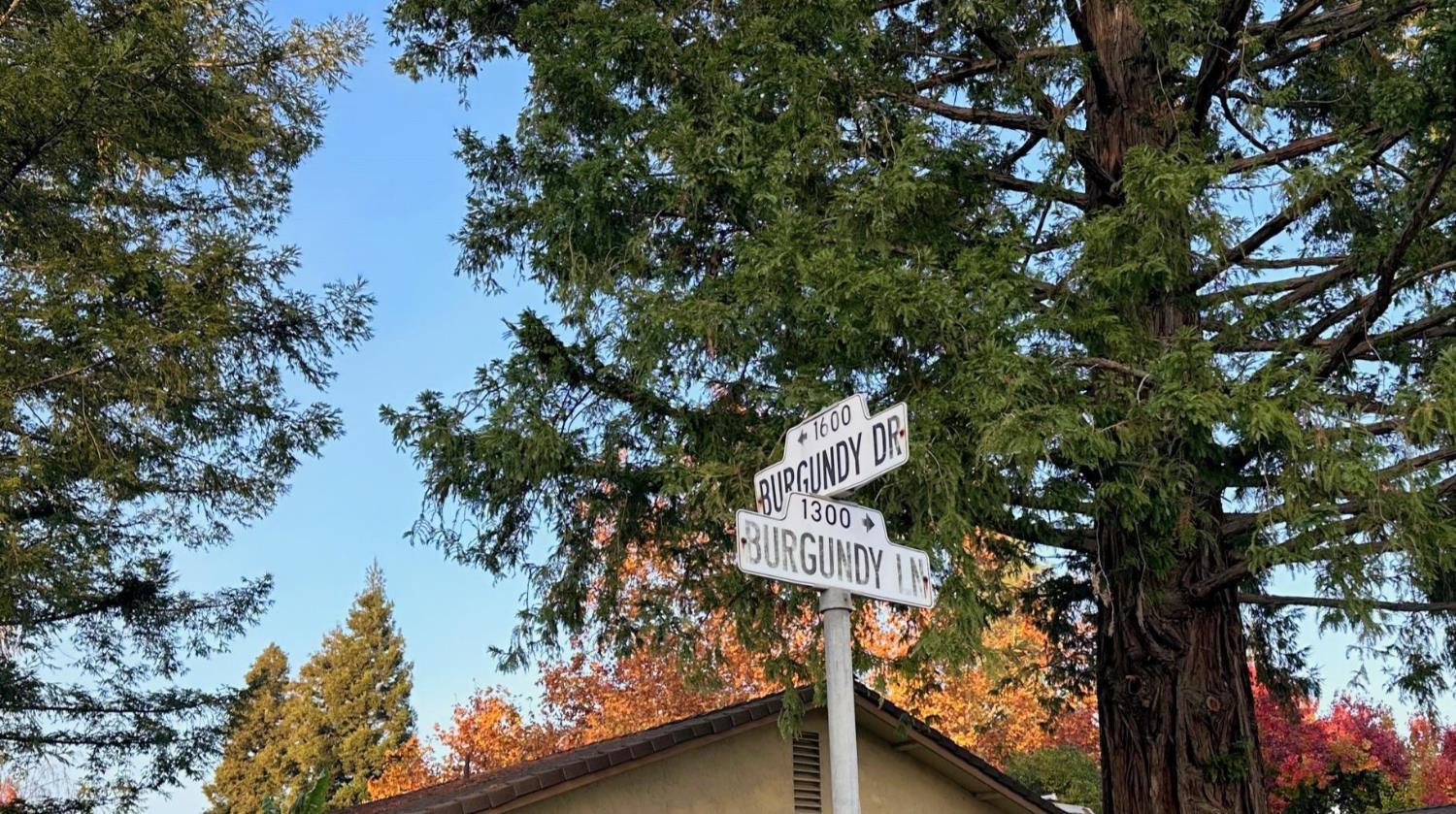 Lodi, California, 95242, United States, ,Residential,For Sale,2002457