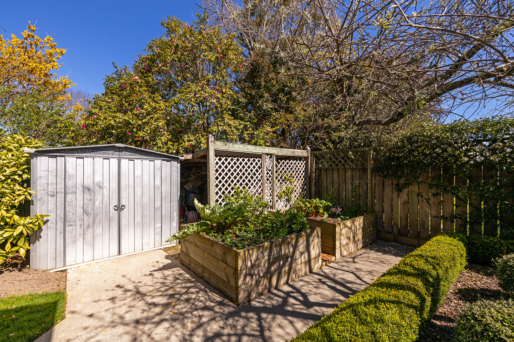  12 Second Street, Masterton - 物件實景